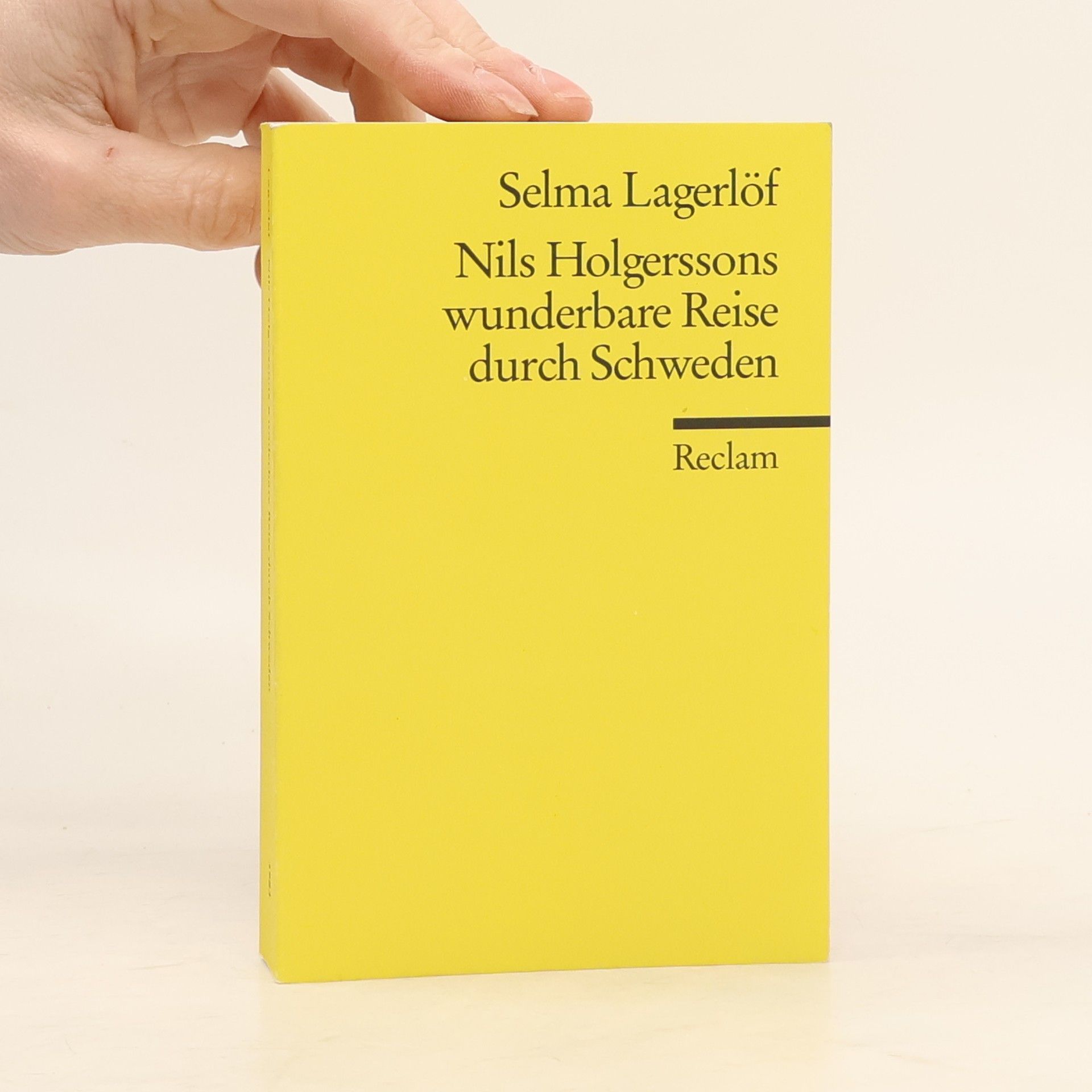 Selma Lagerlöf Nils Holgerssons wunderbare Reise durch Schweden