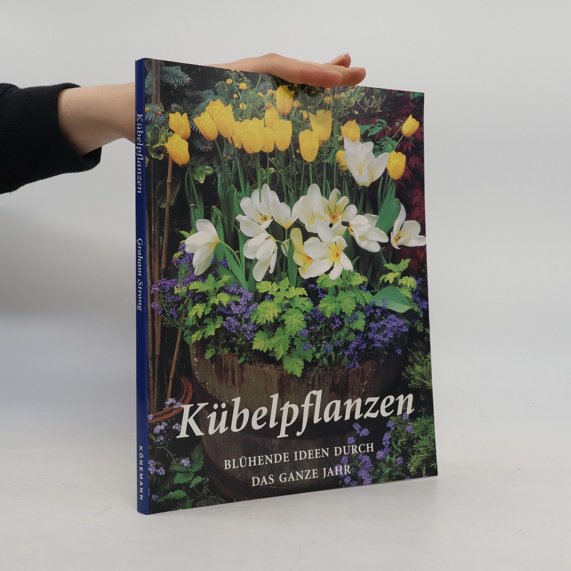 Graham Strong Kübelpflanzen