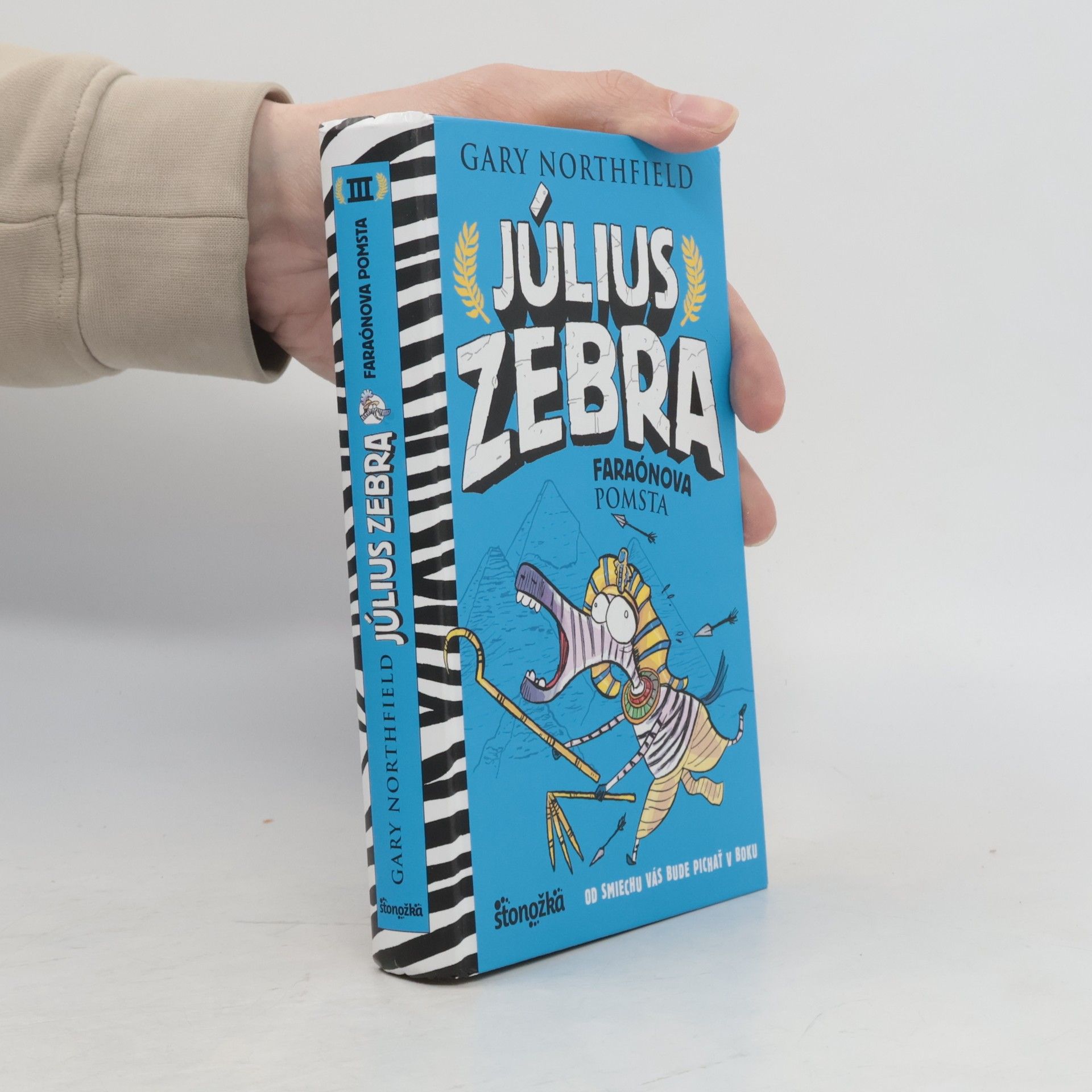 Northfield Gary Július Zebra