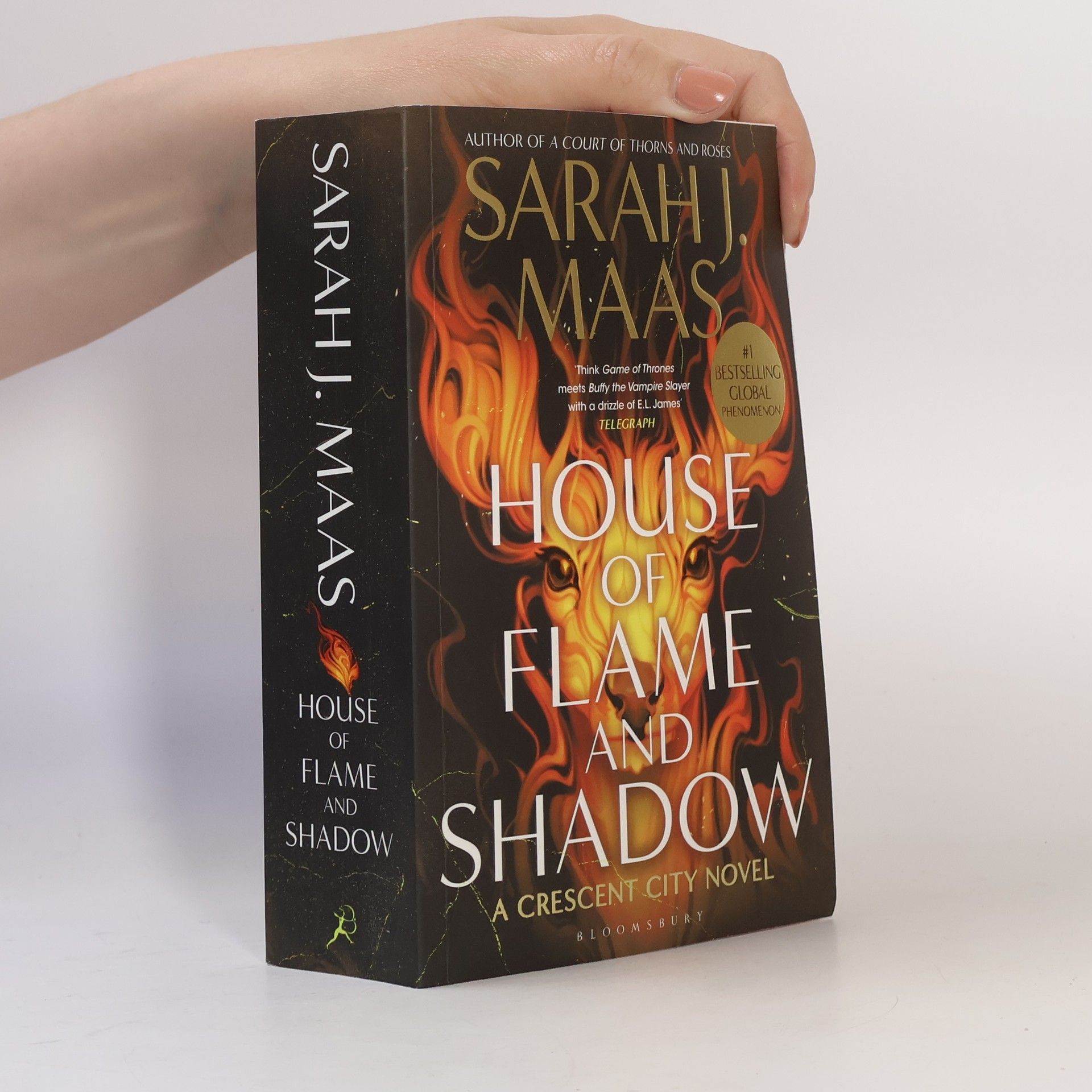 Sarah J. Maas Crescent City - 3: House of Flame and Shadow