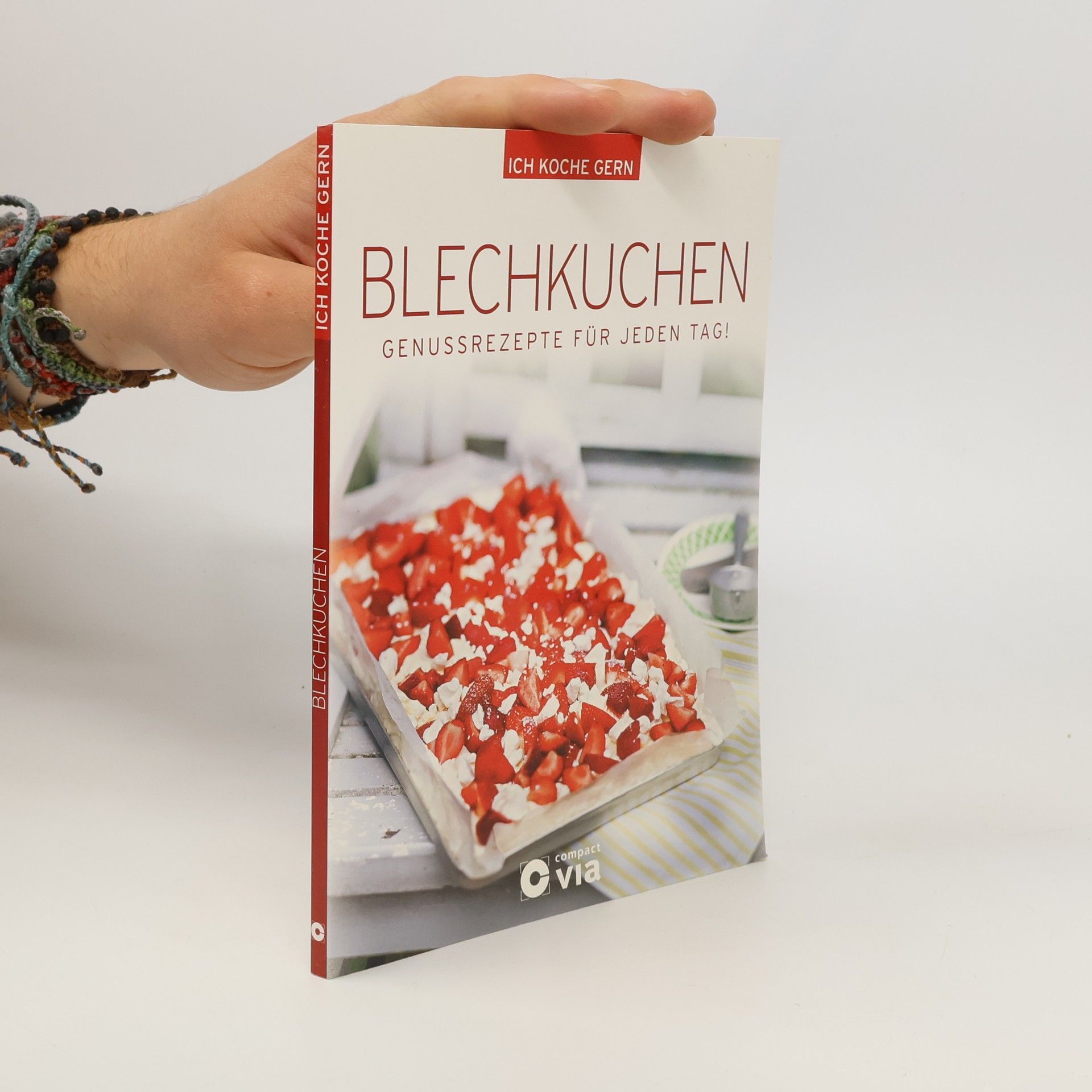 Kolektiv autorů Blechkuchen