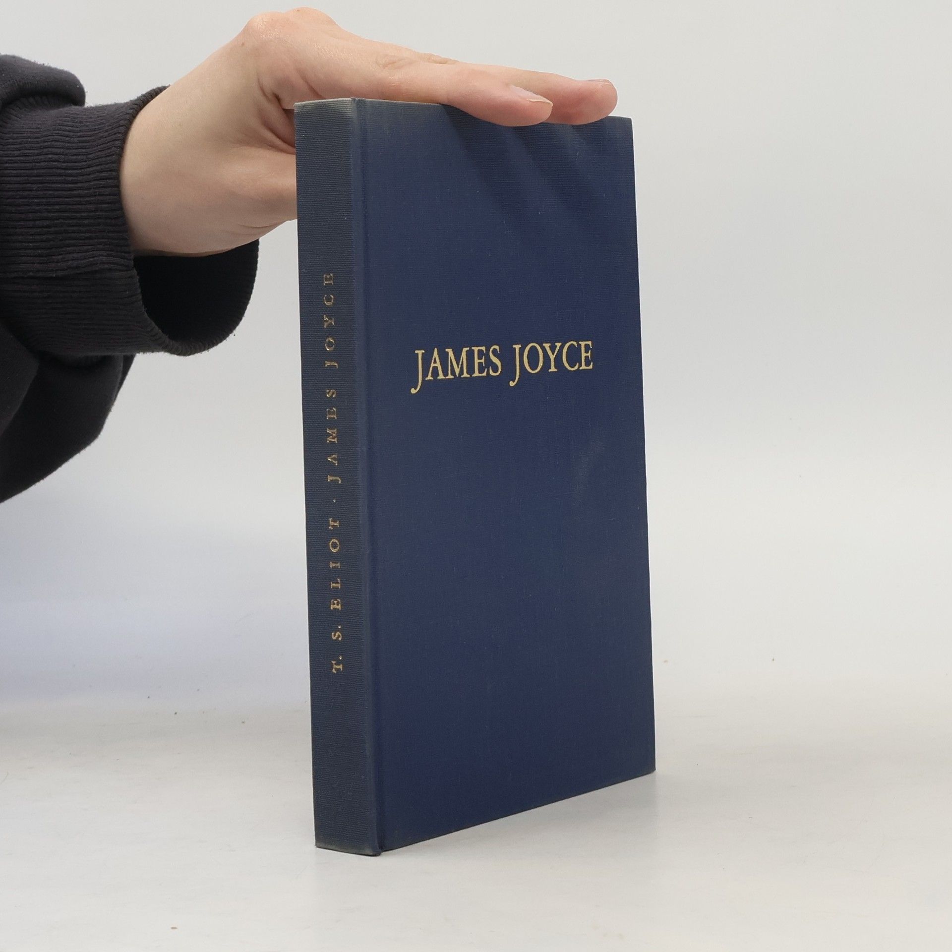 James Joyce Ausgewählte Prosa