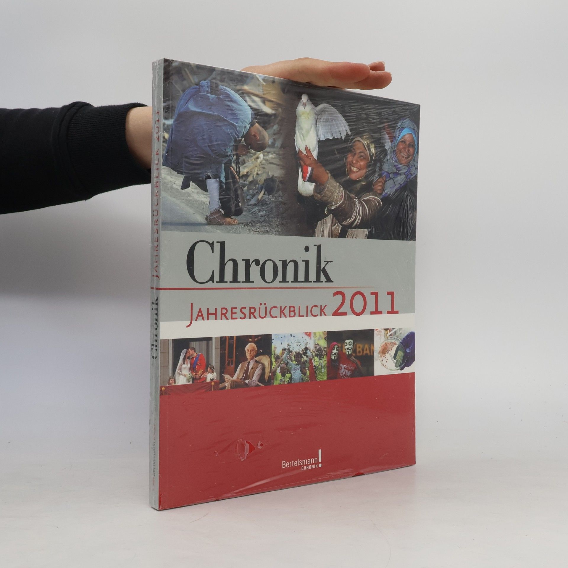Autorenkollektiv Chronik Jahresrückblick 2011