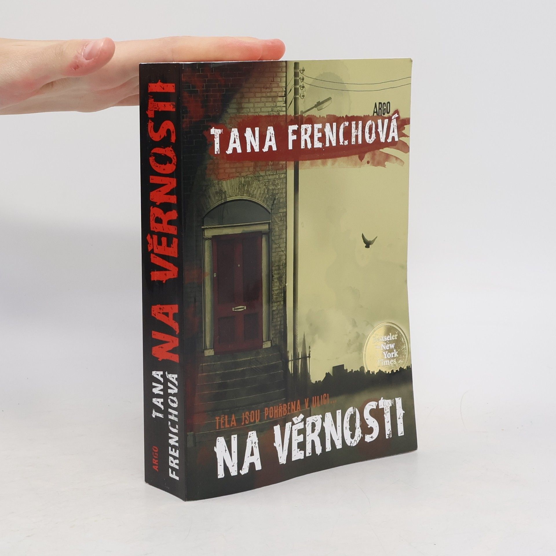Tana French Na Věrnosti