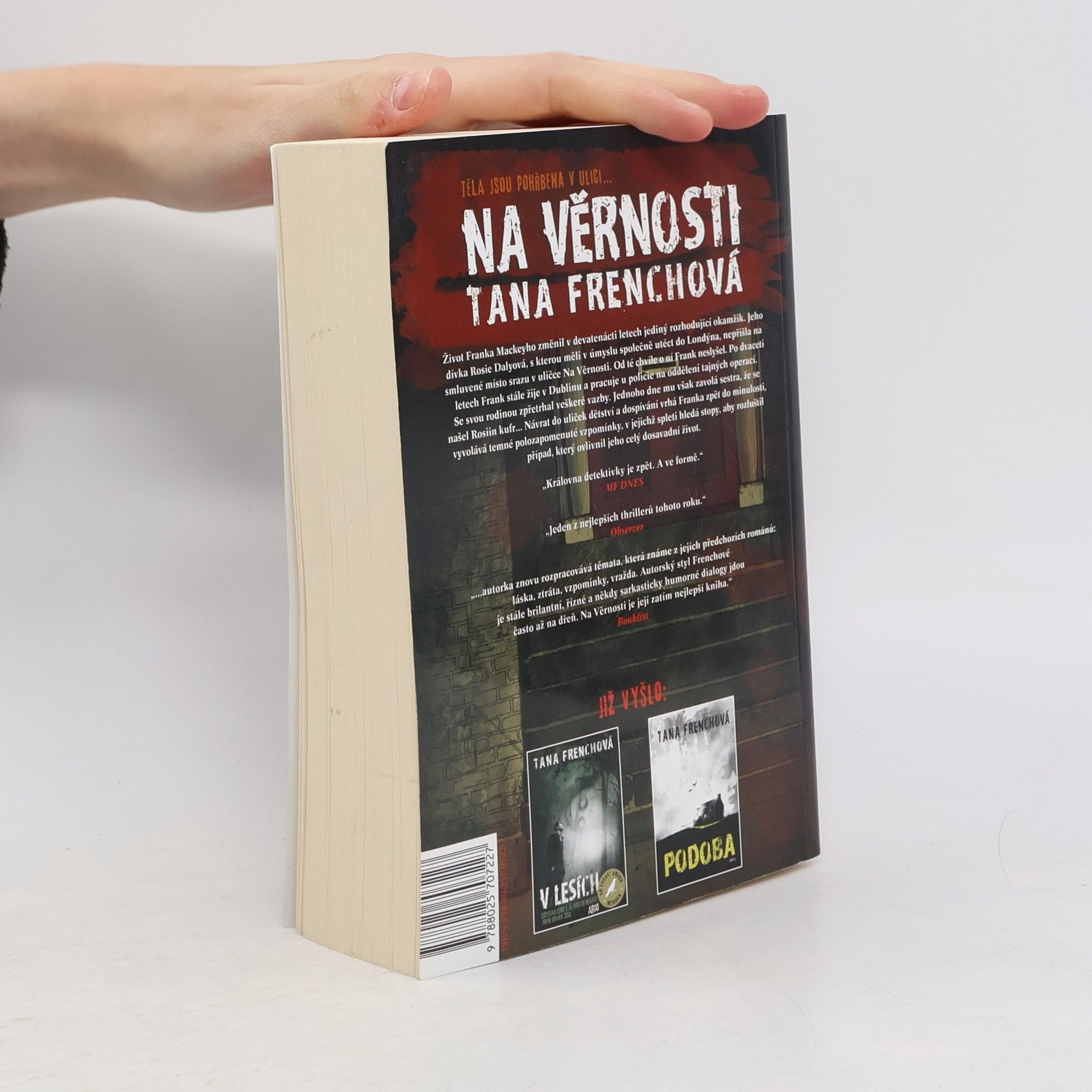 Tana French Na Věrnosti