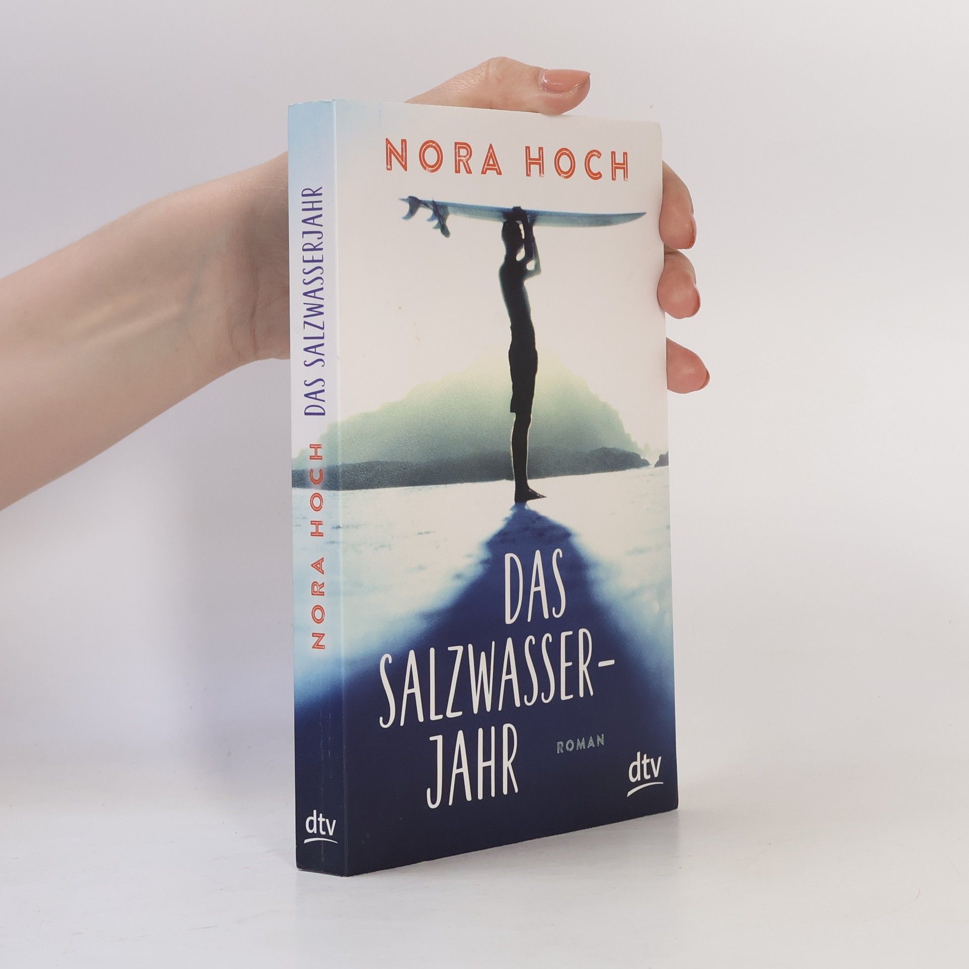 Nora Hoch Das Salzwasserjahr