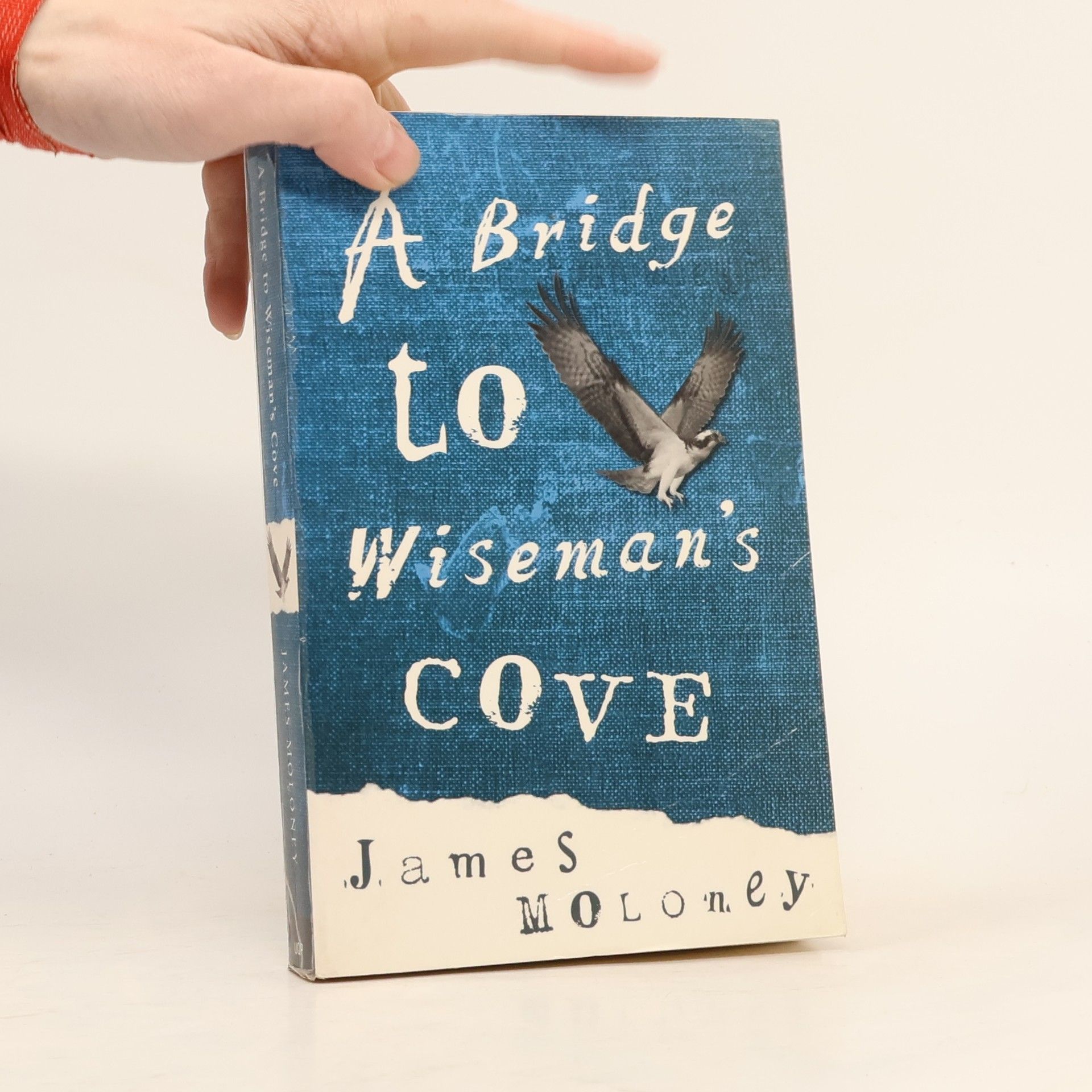 James Moloney A Bridge to Wiseman's Cove