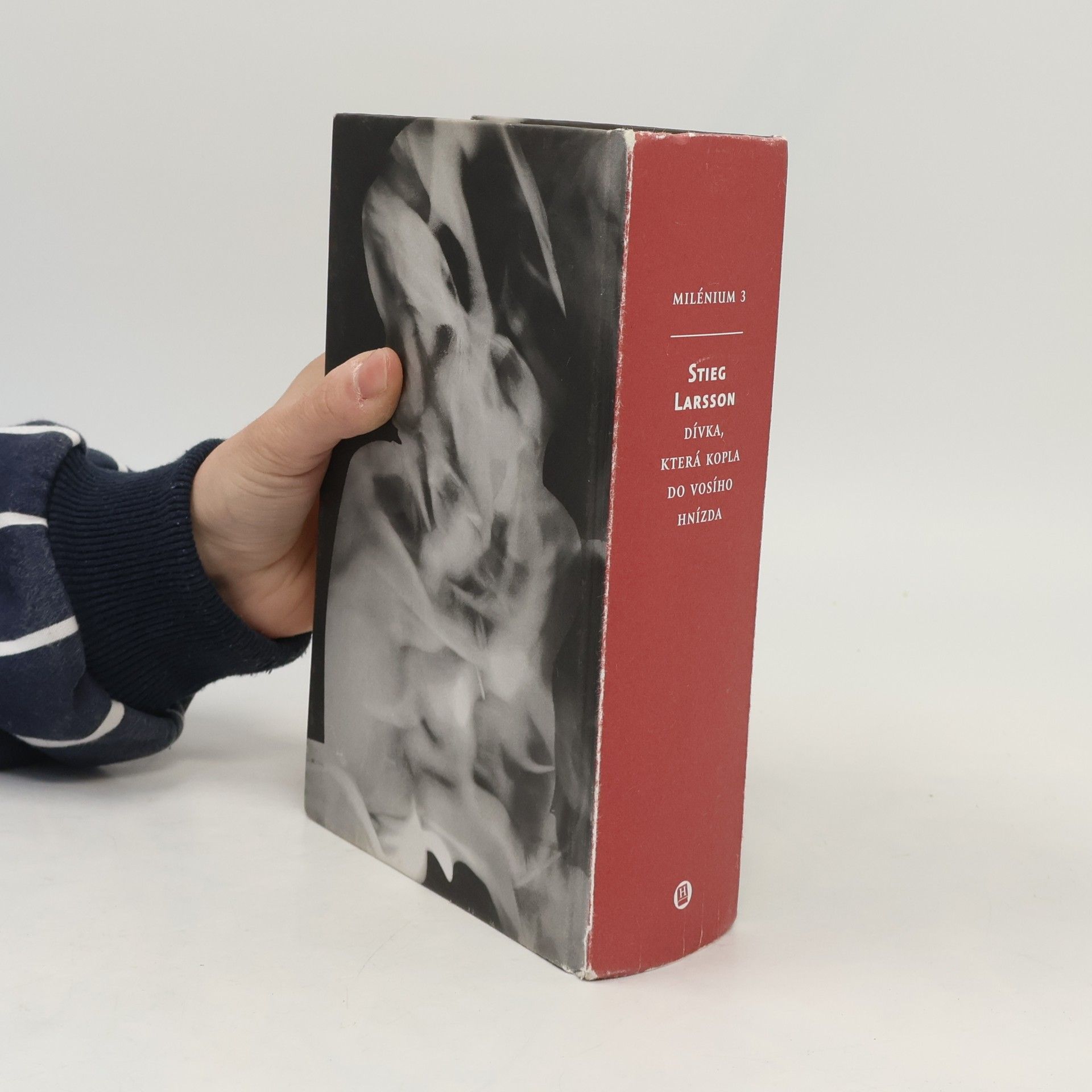 Stieg Larsson Dívka, která kopla do vosího hnízda