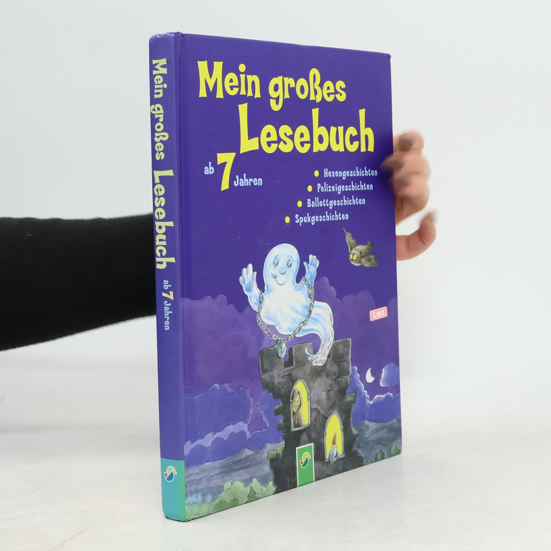 Anke Breitenborn Mein großes Lesebuch ab 7 Jahren