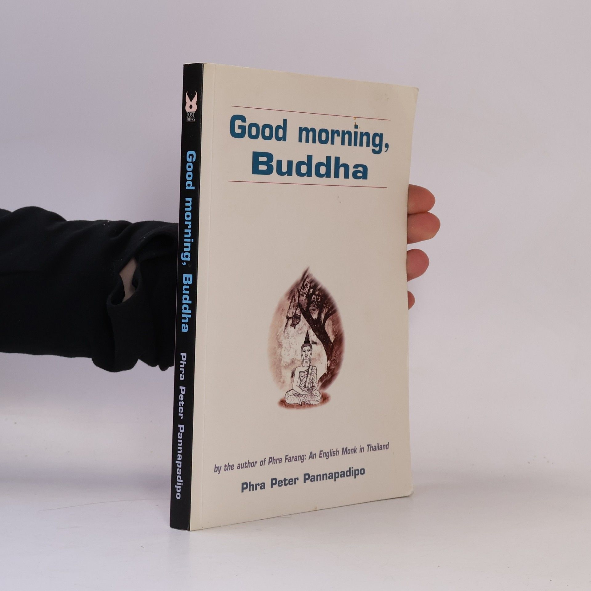 Good Morning, Buddha