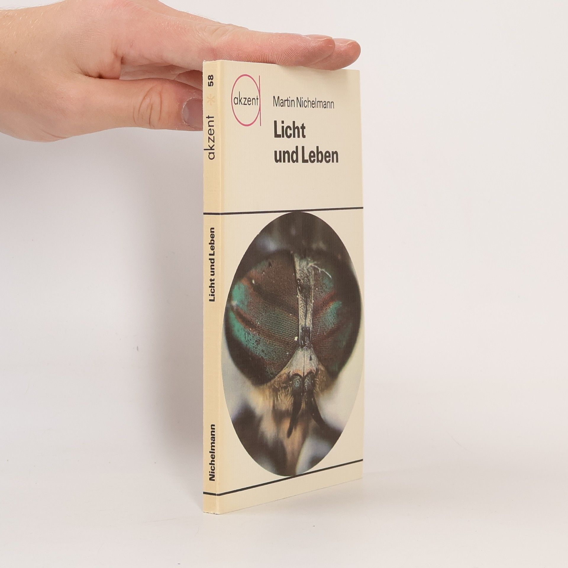 Martin Nichelmann Licht und Leben