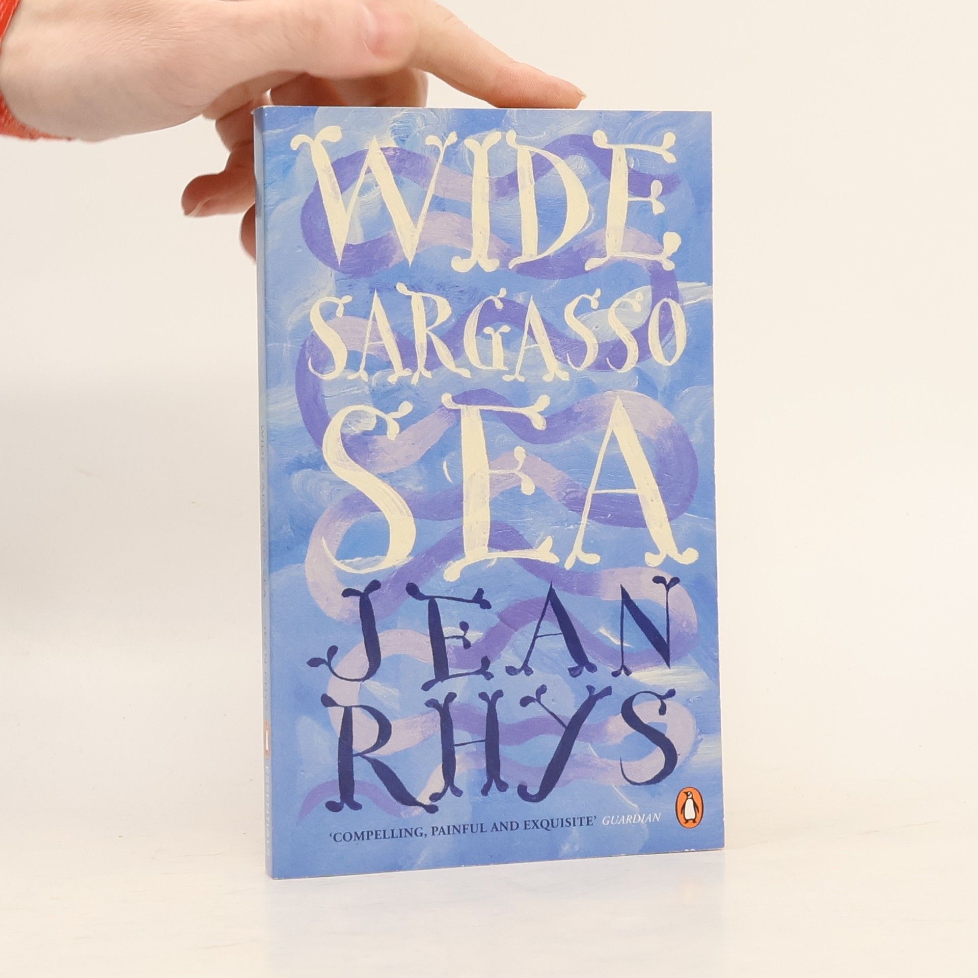 Jean Rhys Wide Sargasso Sea