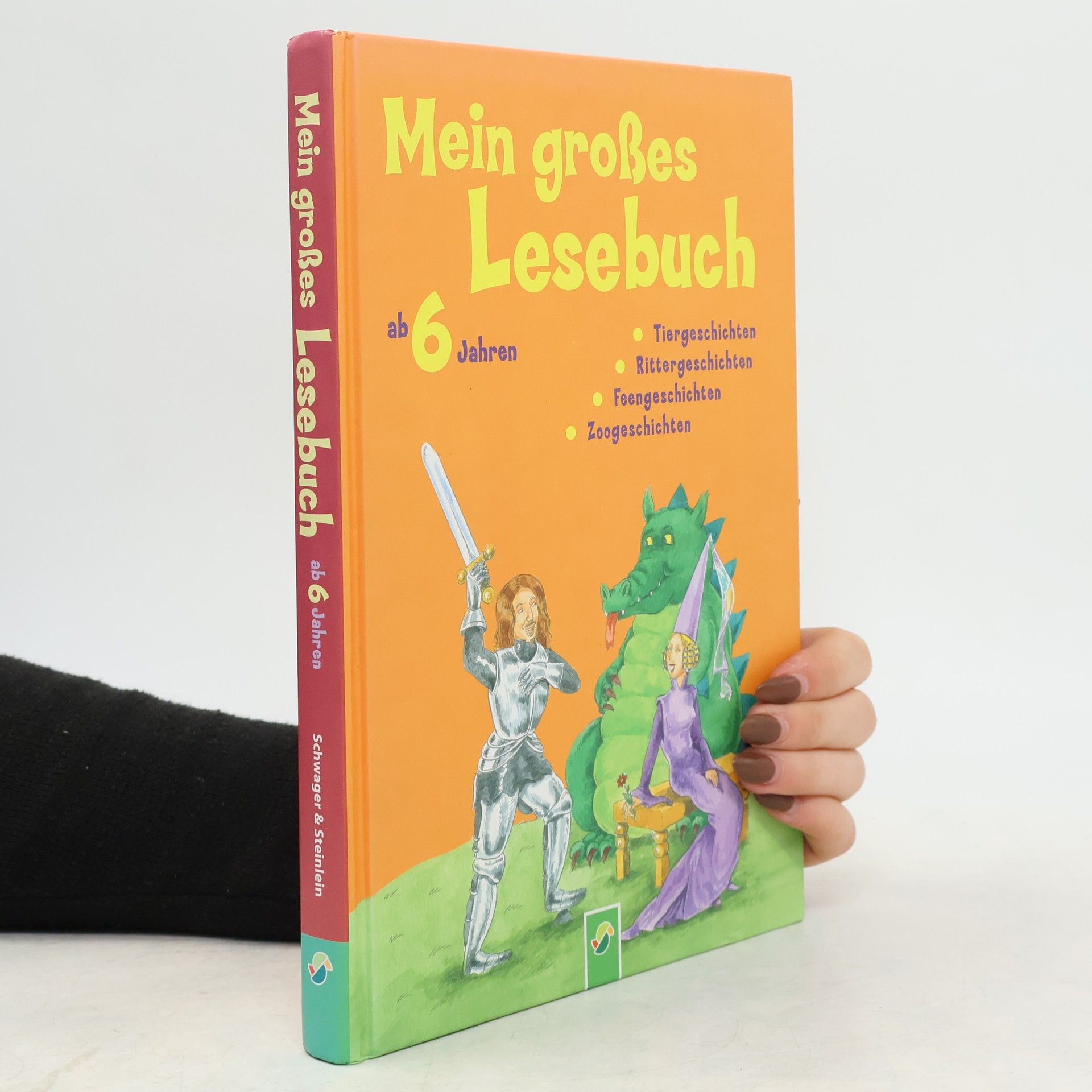 Anke Breitenborn Mein großes Lesebuch ab 6 Jahren