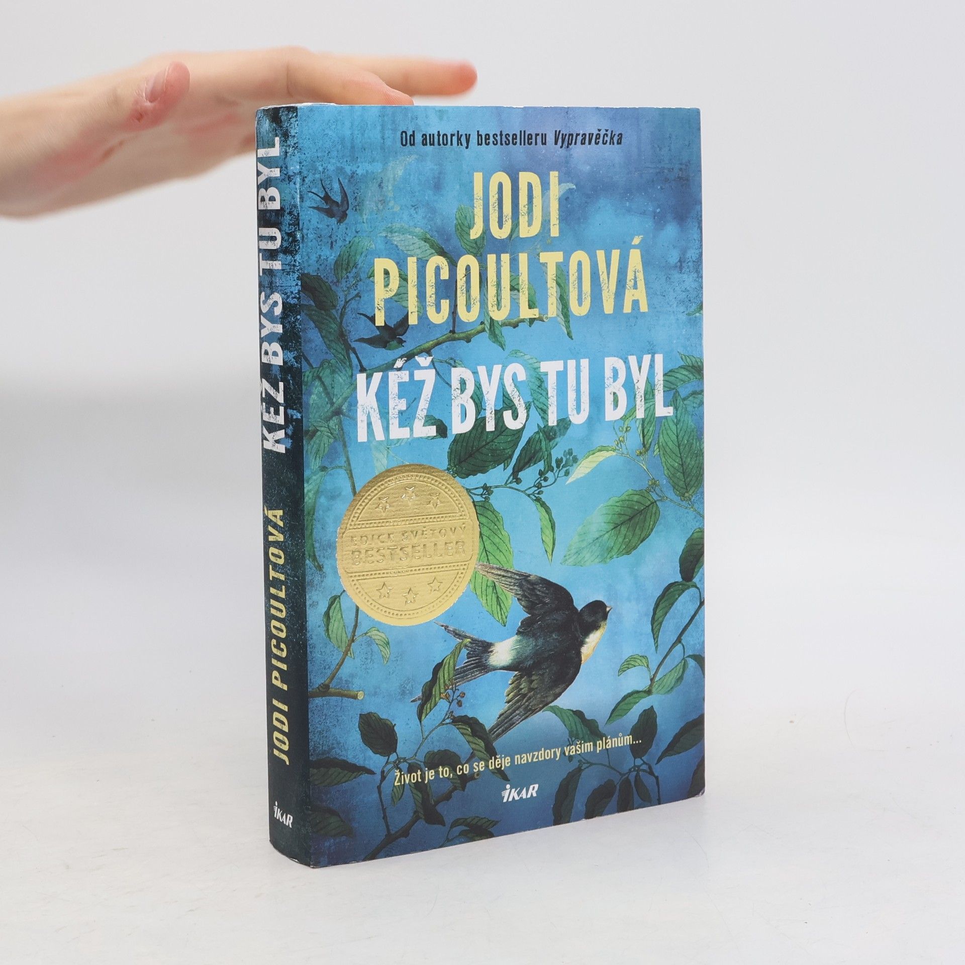 Jodi Picoult Kéž bys tu byl