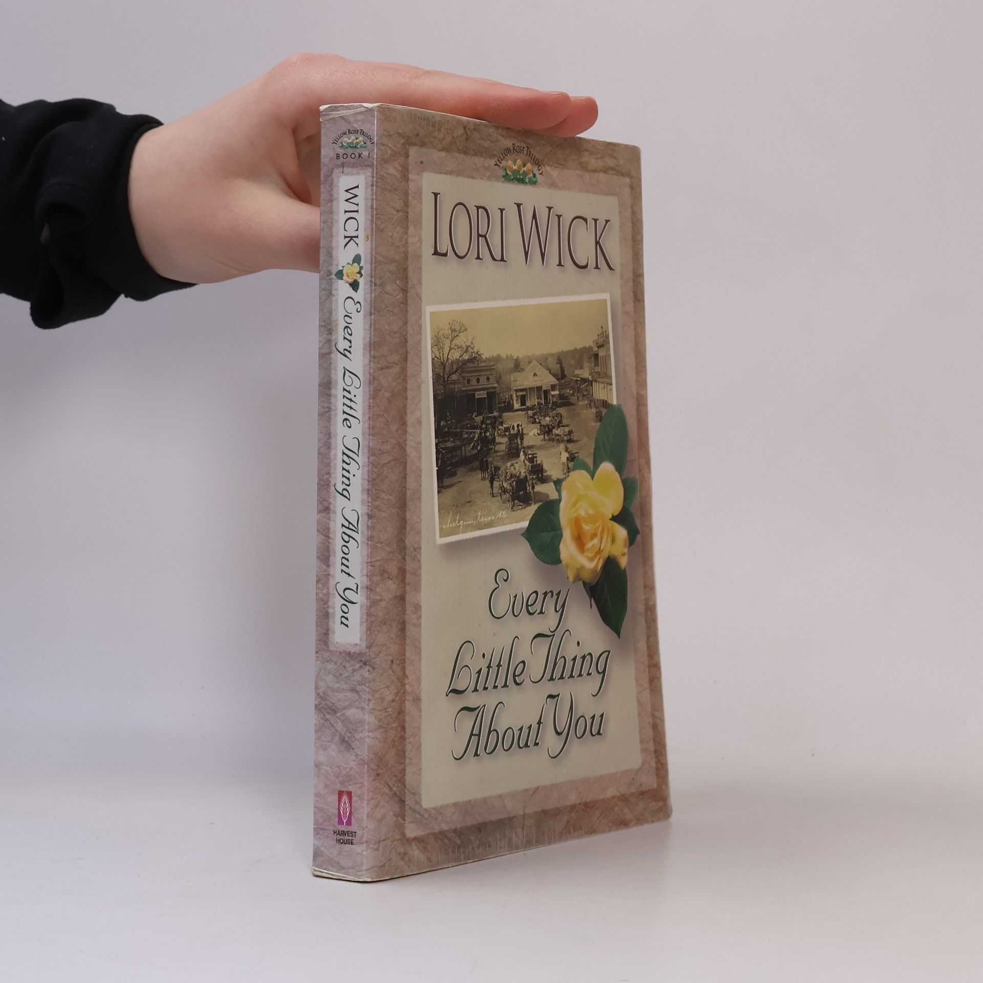 Lori Wick Every Little Thing About You