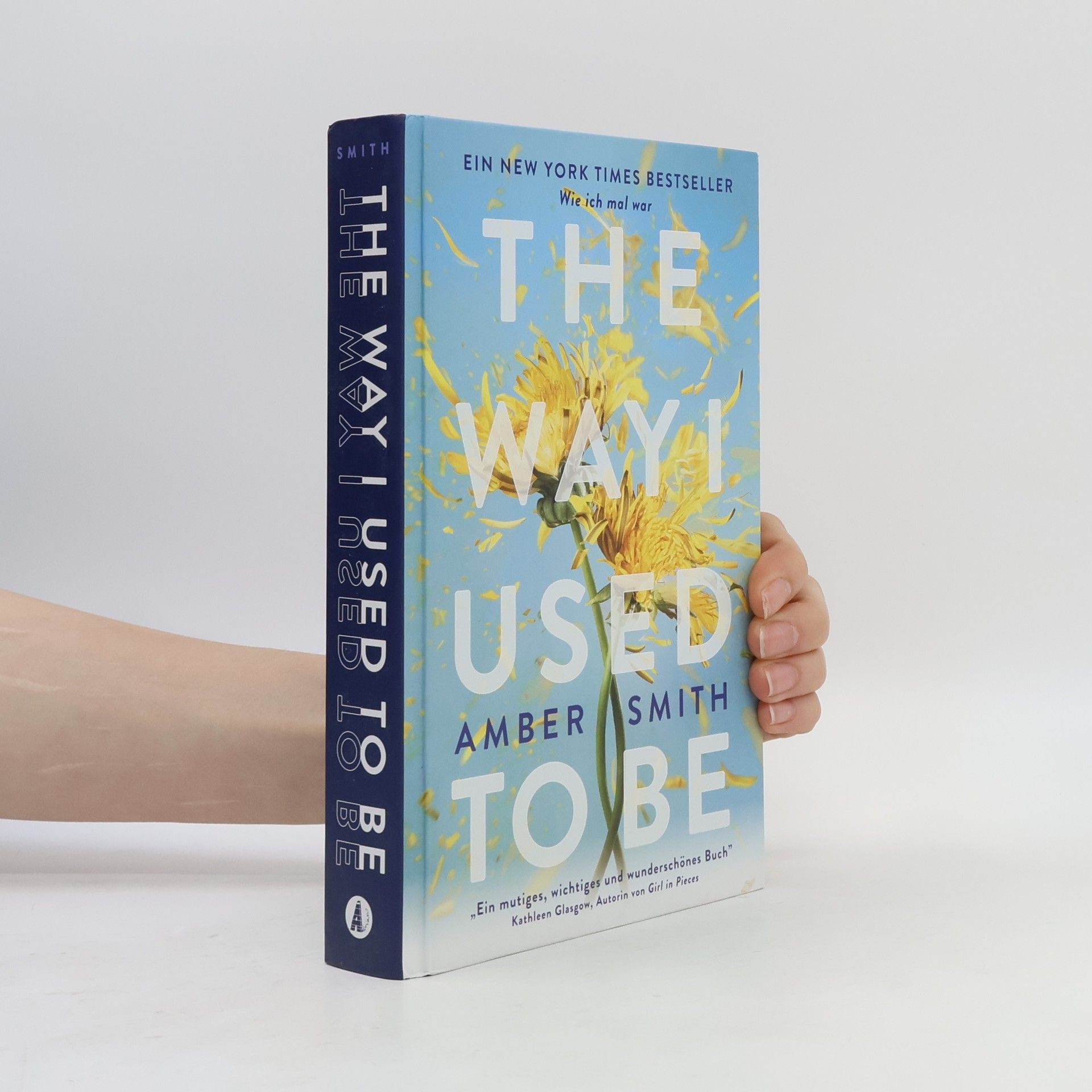 Amber Smith Wie ich mal war. The Way I Used to Be
