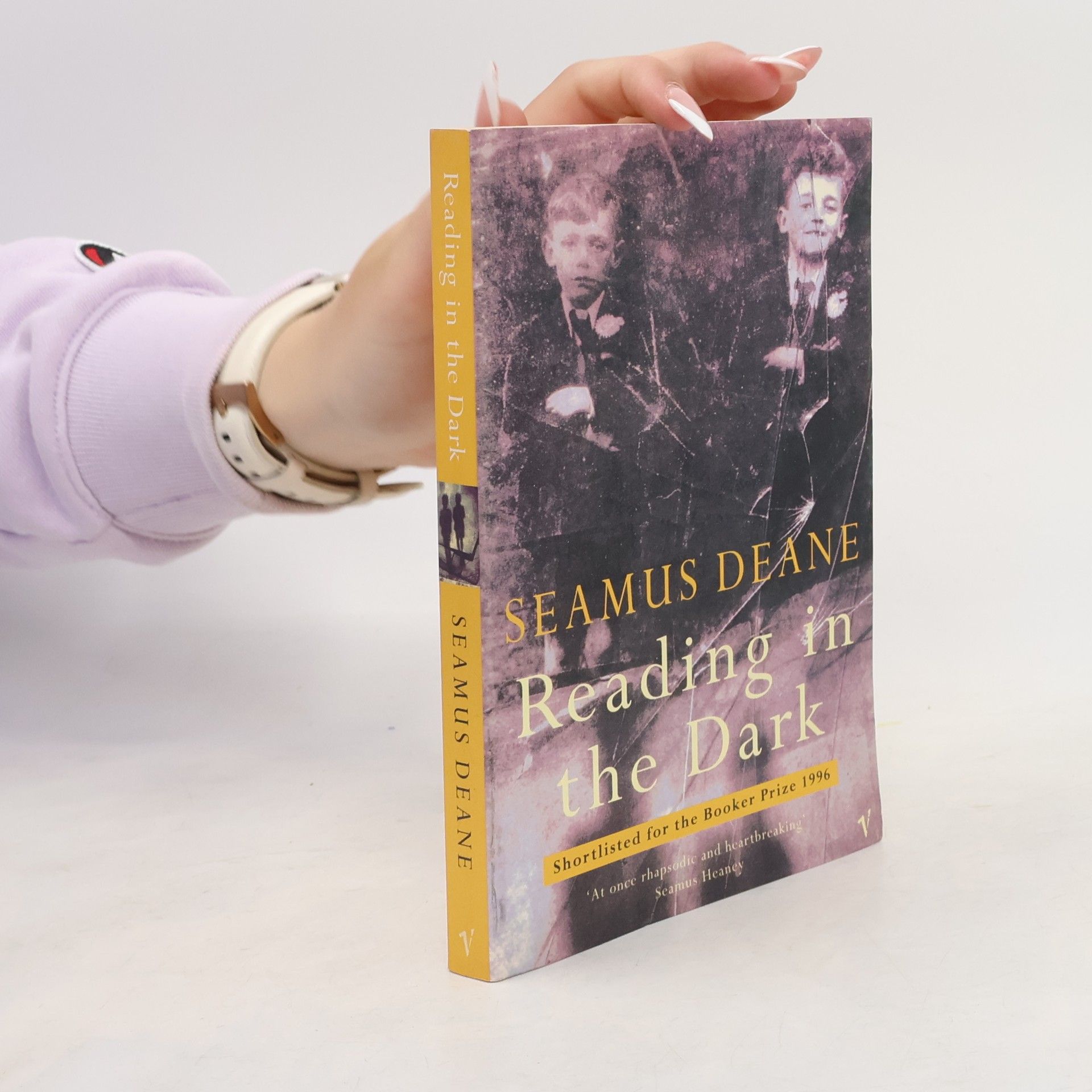 Seamus Deane Reading in the dark