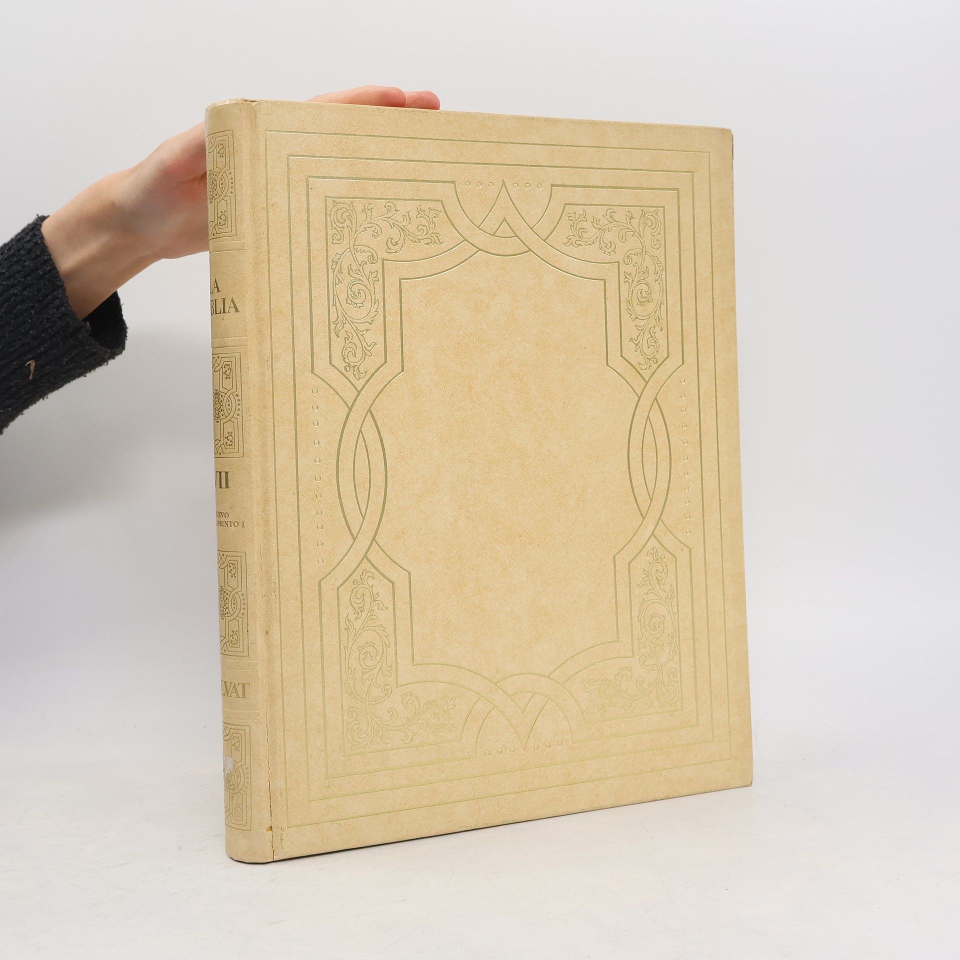Manuel Iglesias González La Biblia VII