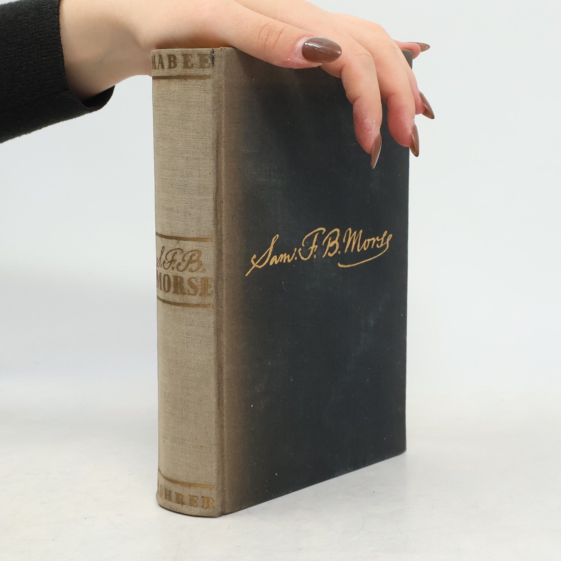 Carleton Mabee Samuel F. B. Morse. Der amerikanische Leonardo
