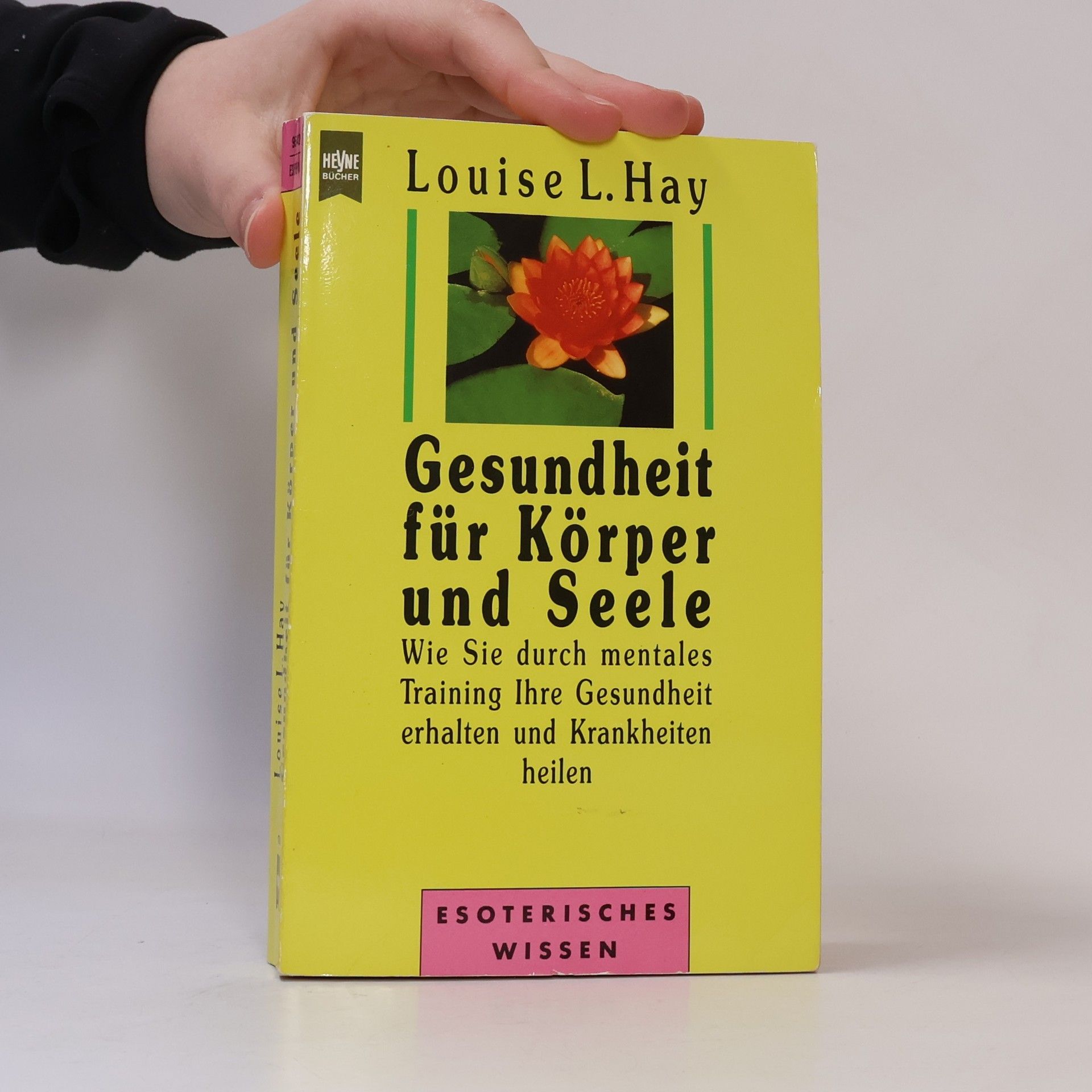 Louise Lynn Hay Gesundheit für Körper und Seele