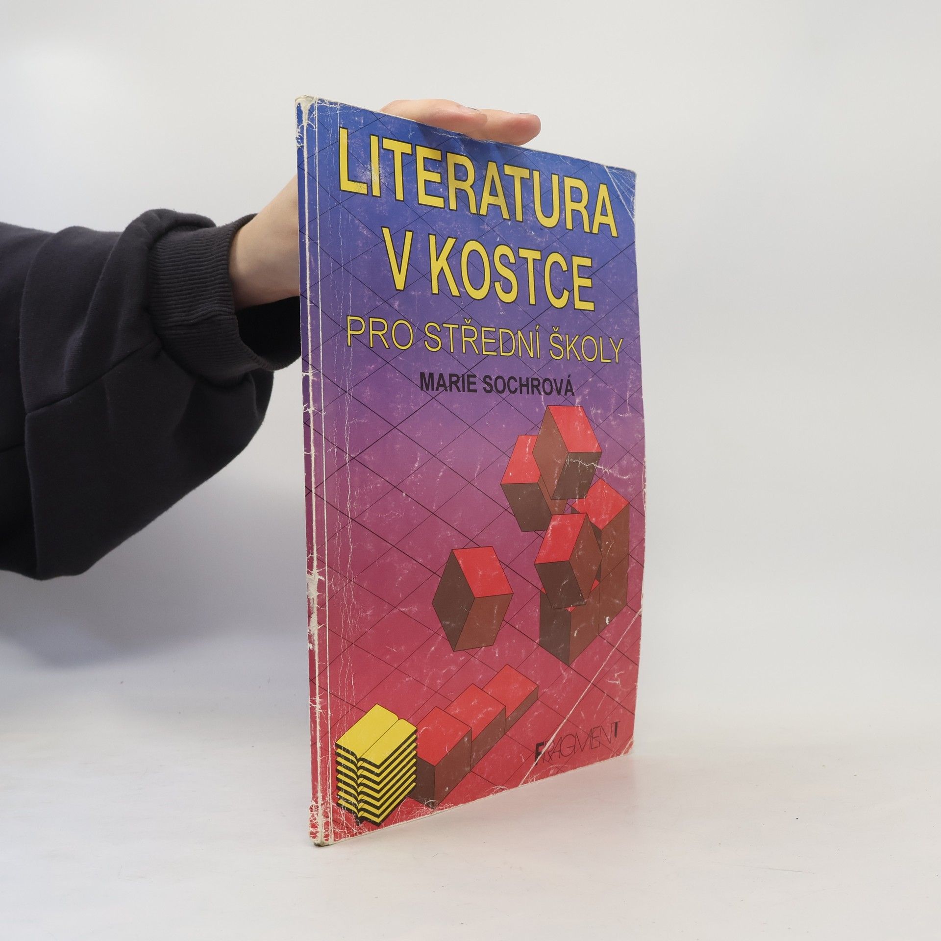 Tomáš Řízek Literatura v kostce