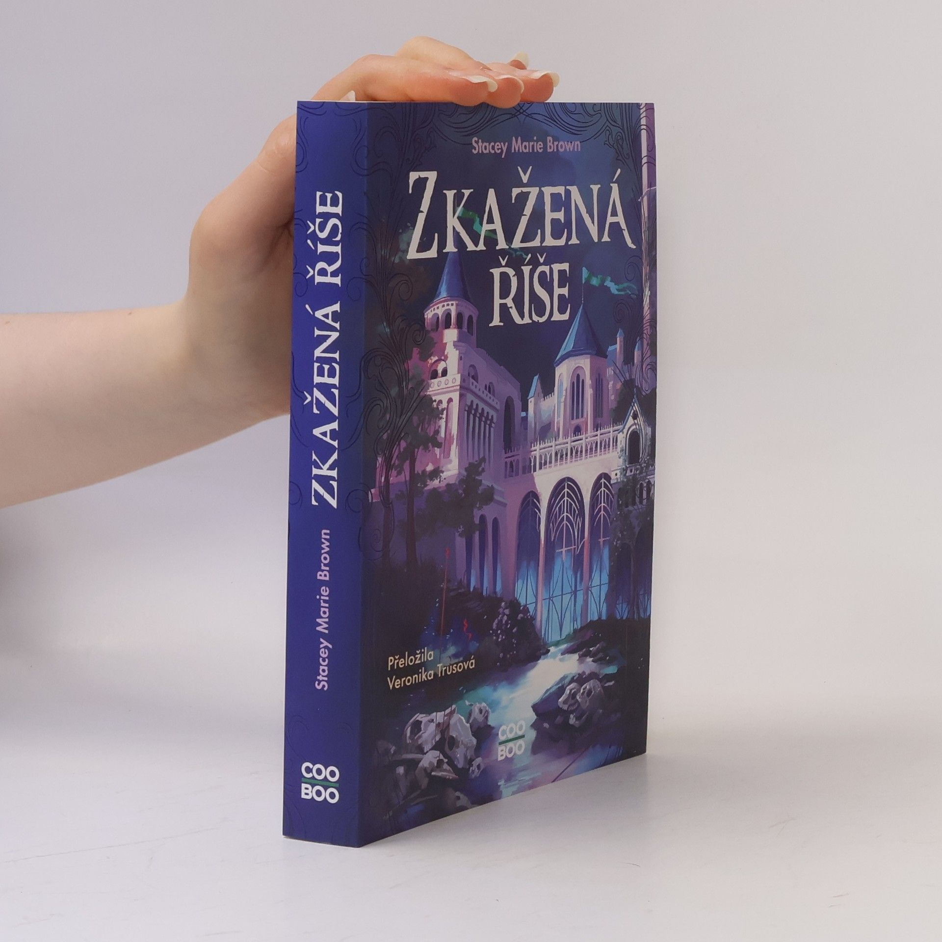 Stacey Marie Brown Zkažená říše