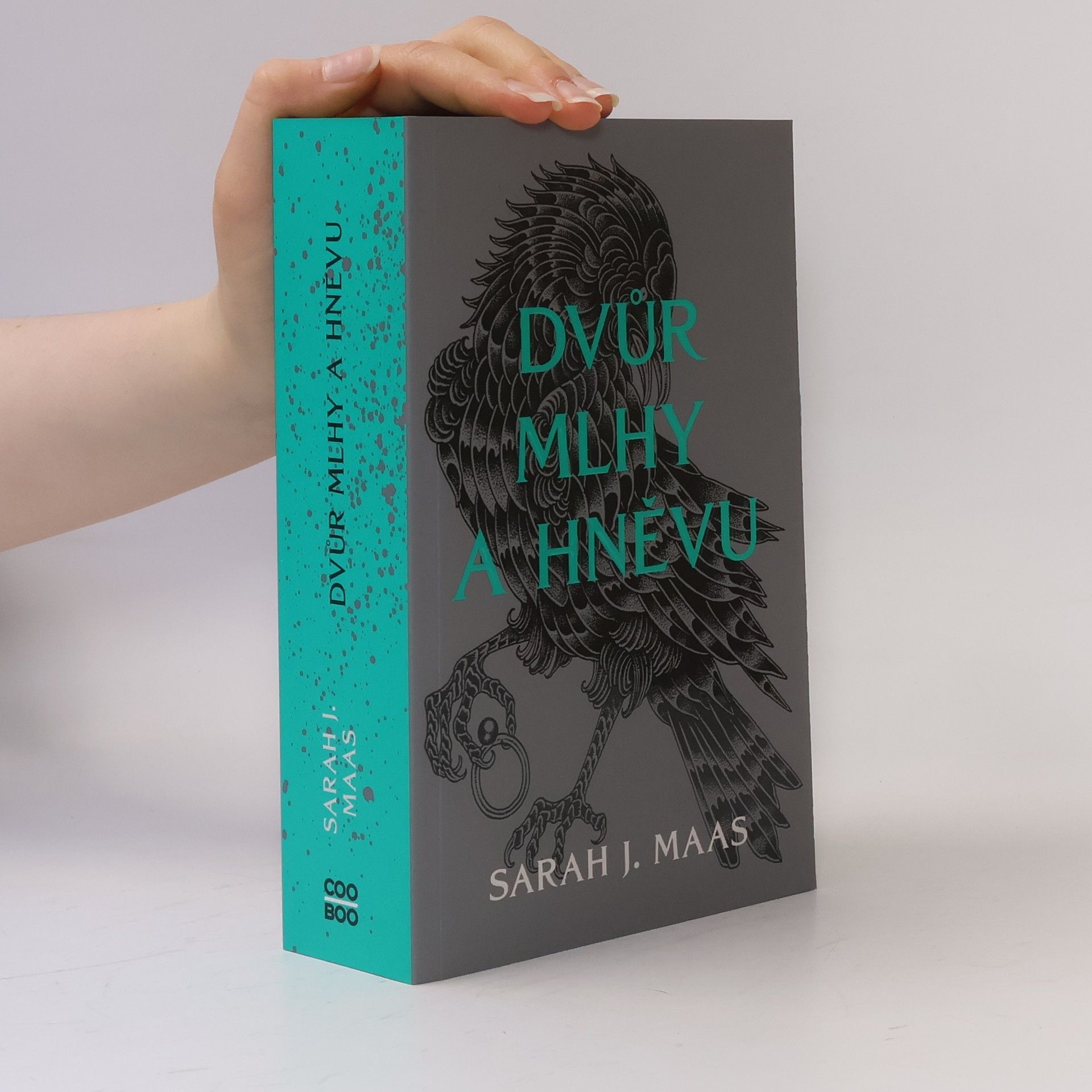 Sarah J. Maas Dvůr mlhy a hněvu