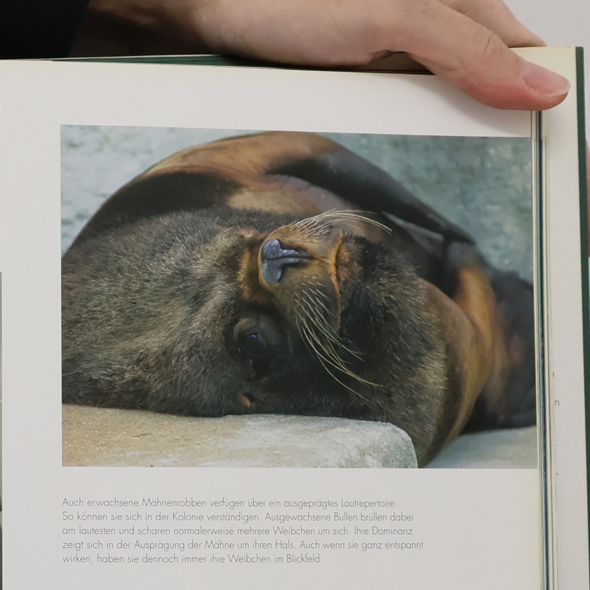 Daniel Zupanc Wildnis Zoo