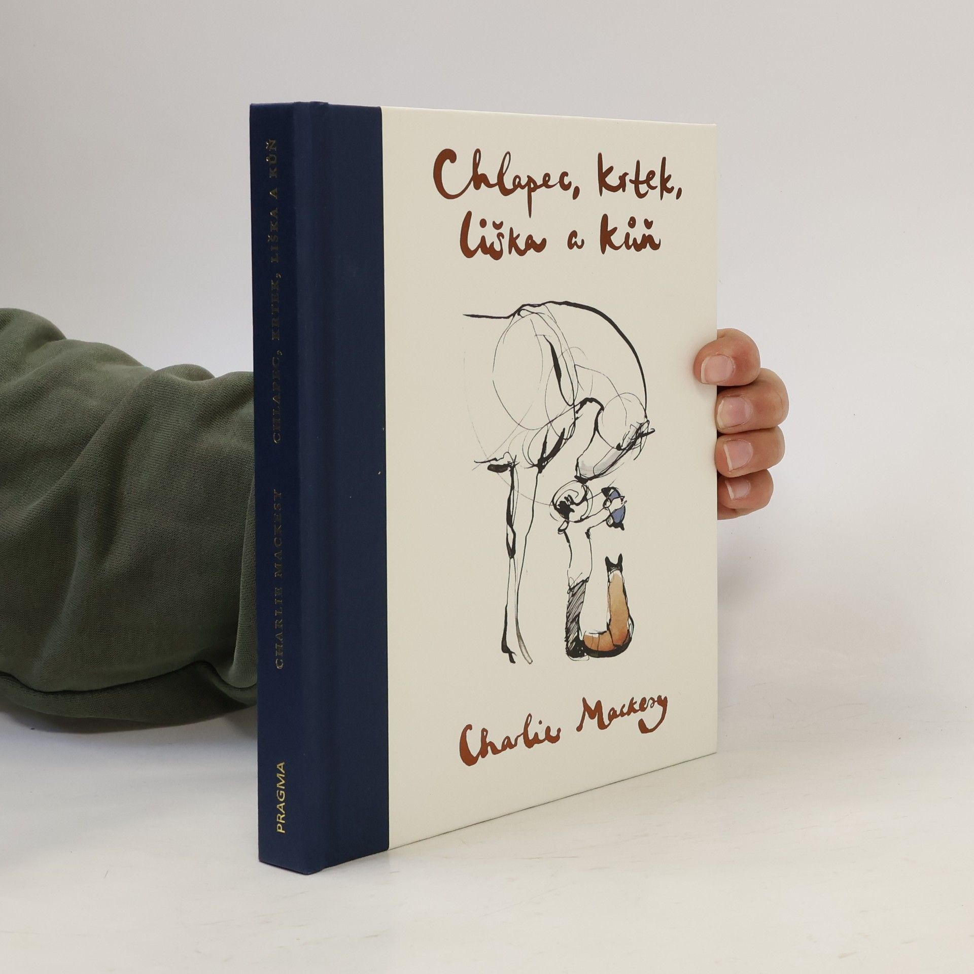 Charlie Mackesy Chlapec, krtek, liška a kůň