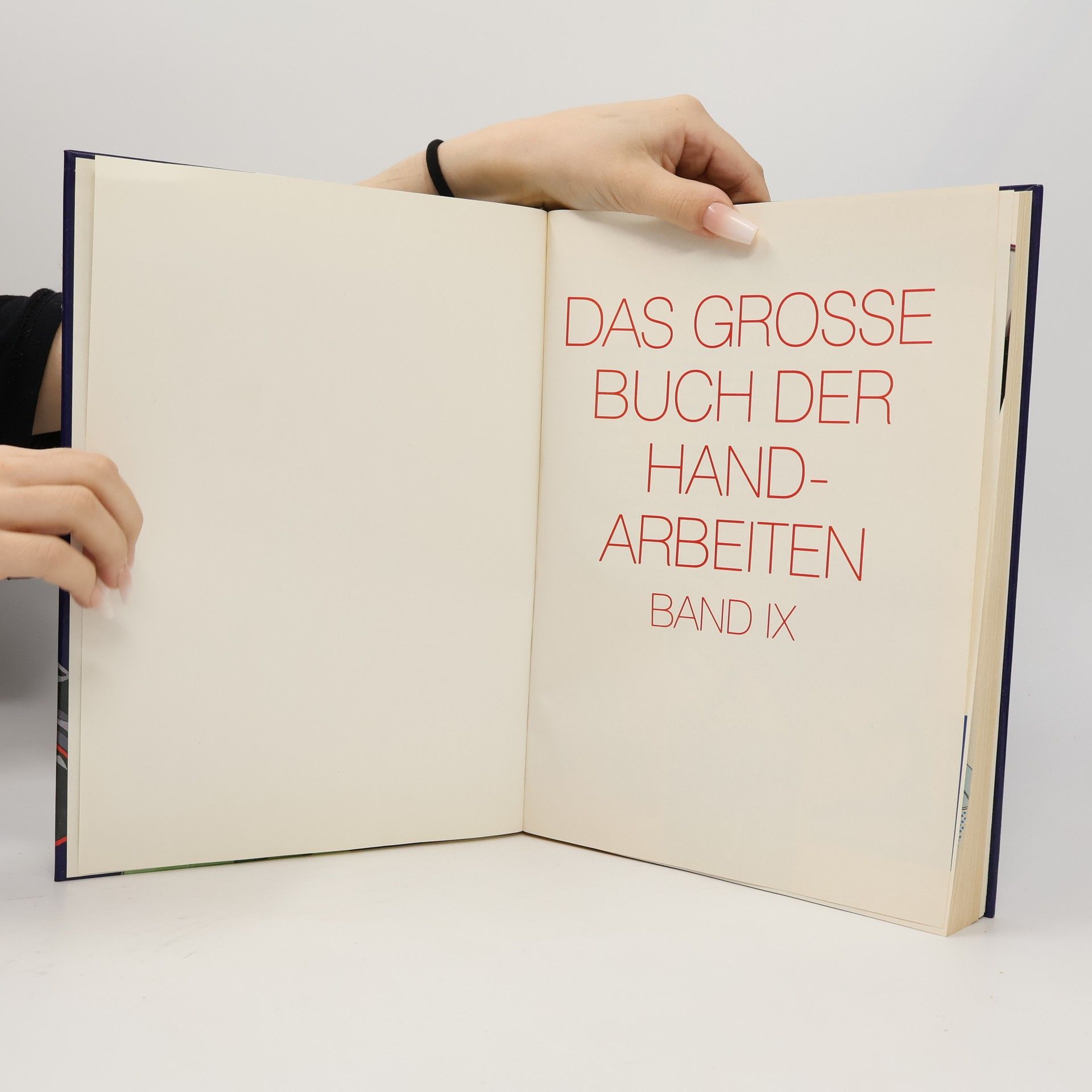 Autorenkollektiv Das große Buch der Handarbeiten IX.