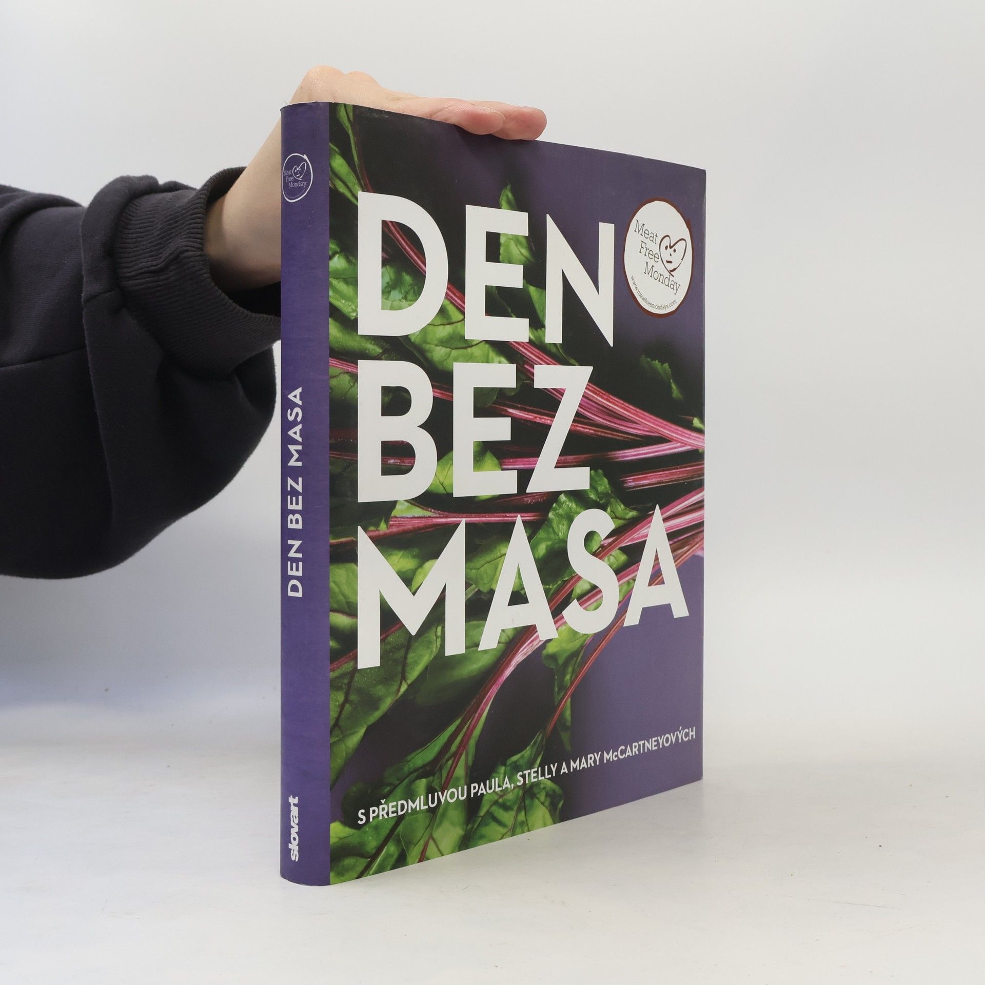 Annie Rigg Den bez masa