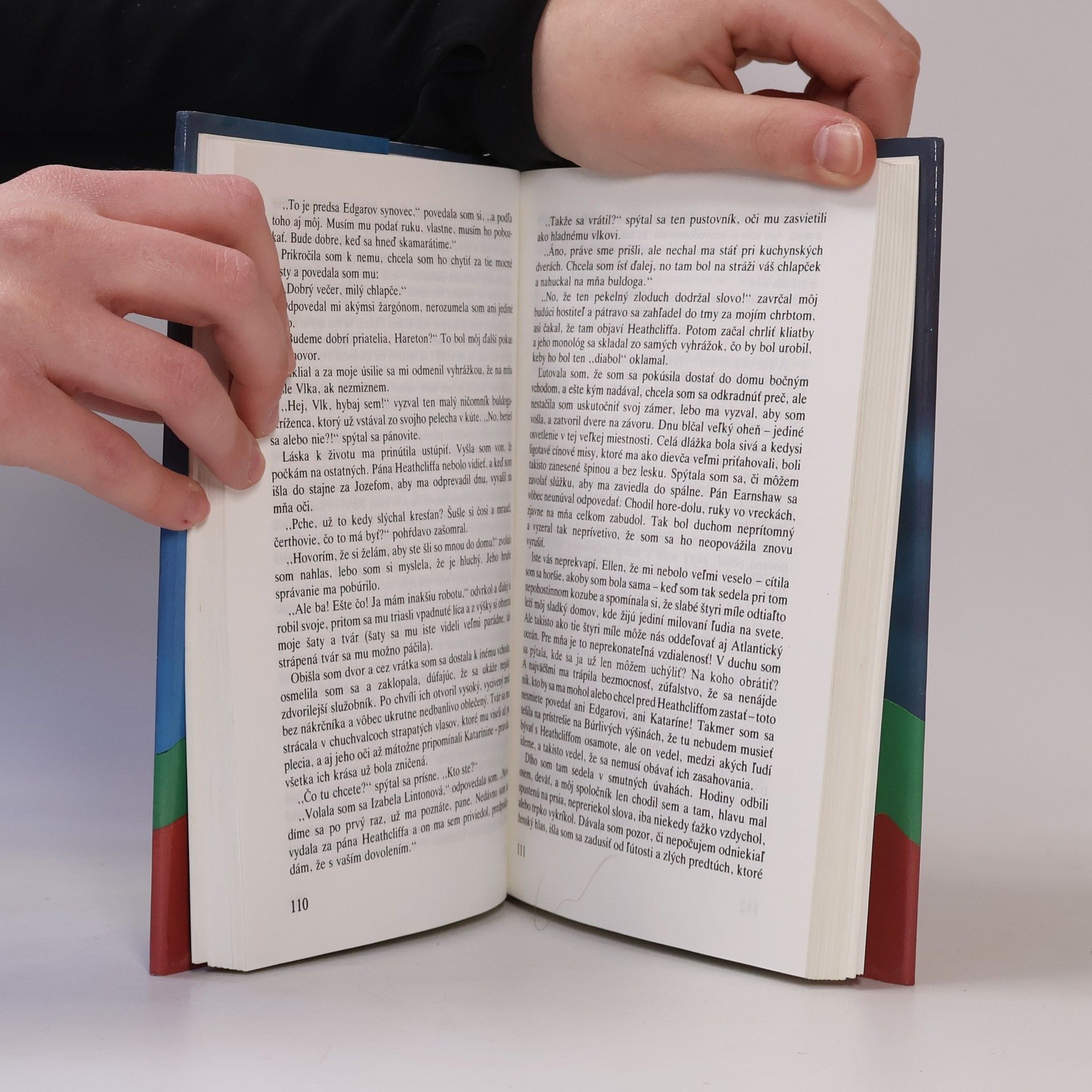 Emily Brontë Búrlivé výšiny