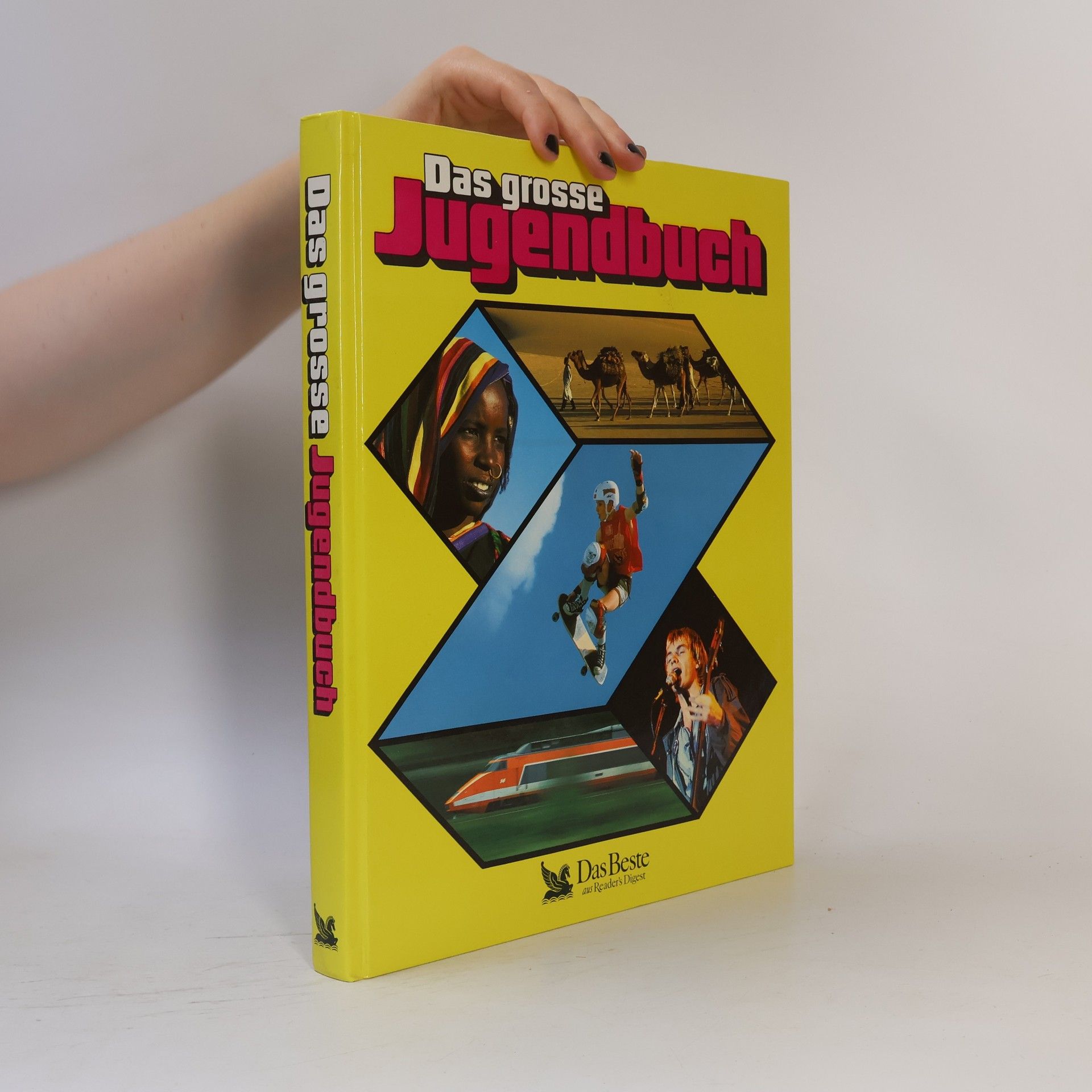 Kolektív autorov Das grosse Jugendbuch, 29.folge