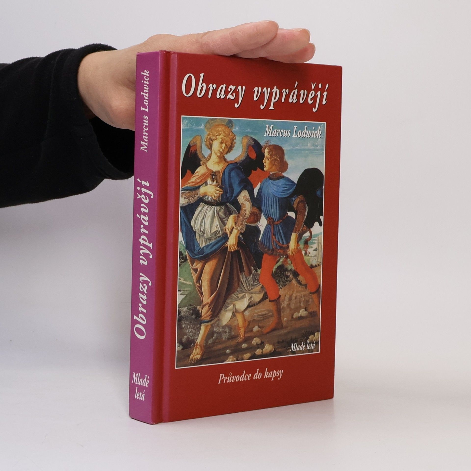 Marcus Lodwick Obrazy vyprávějí : průvodce do kapsy