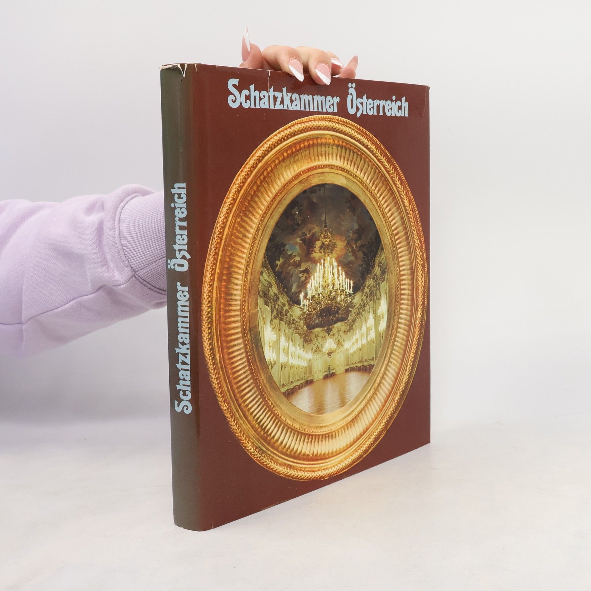 Autorenkollektiv Schatzkammer Österreich