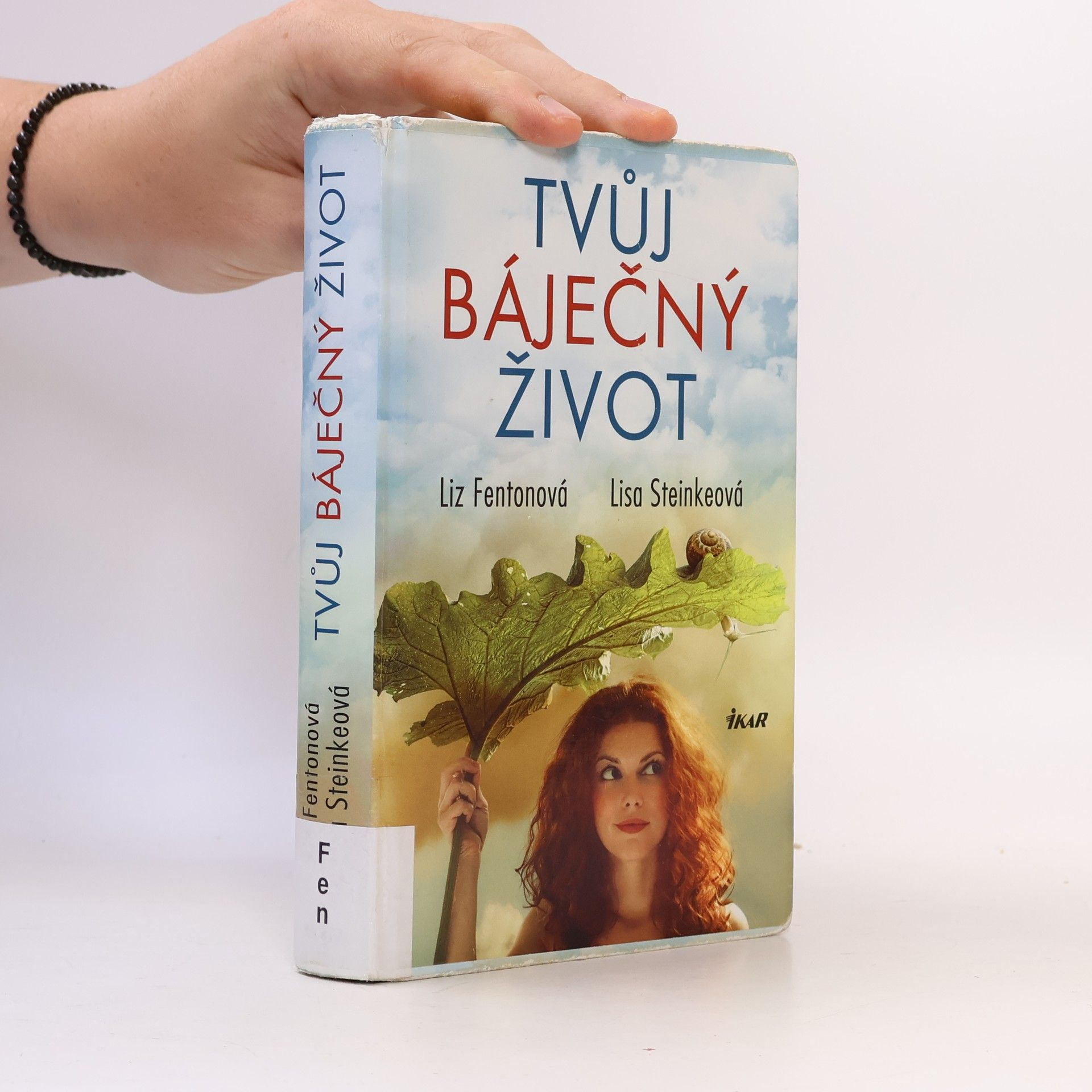 Lisa Steinke Tvůj báječný život