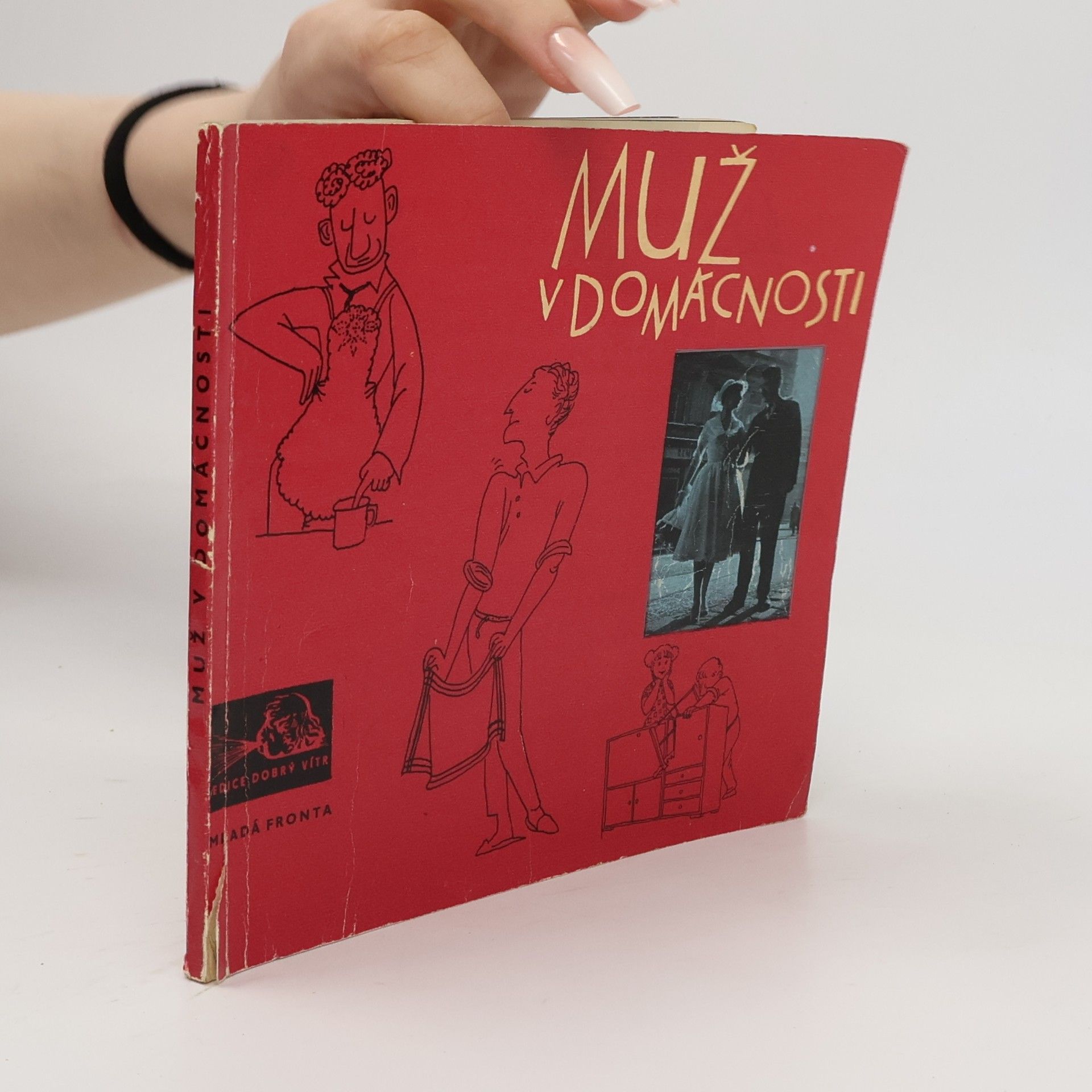 Autorenkollektiv Muž v domácnosti