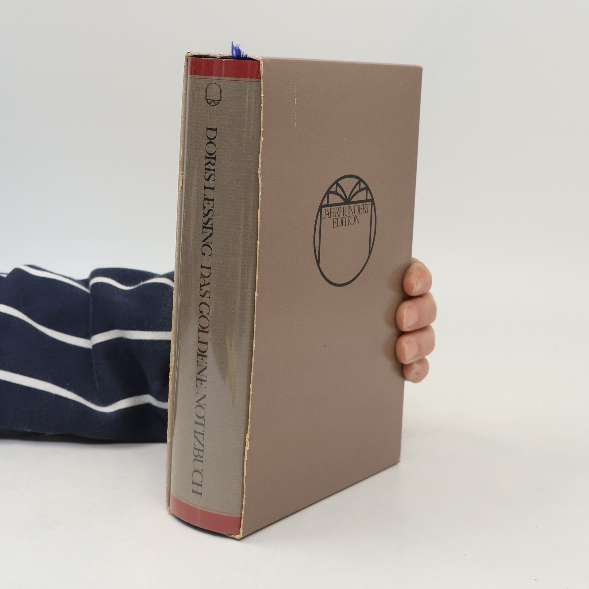 Doris Lessing Das goldene Notizbuch
