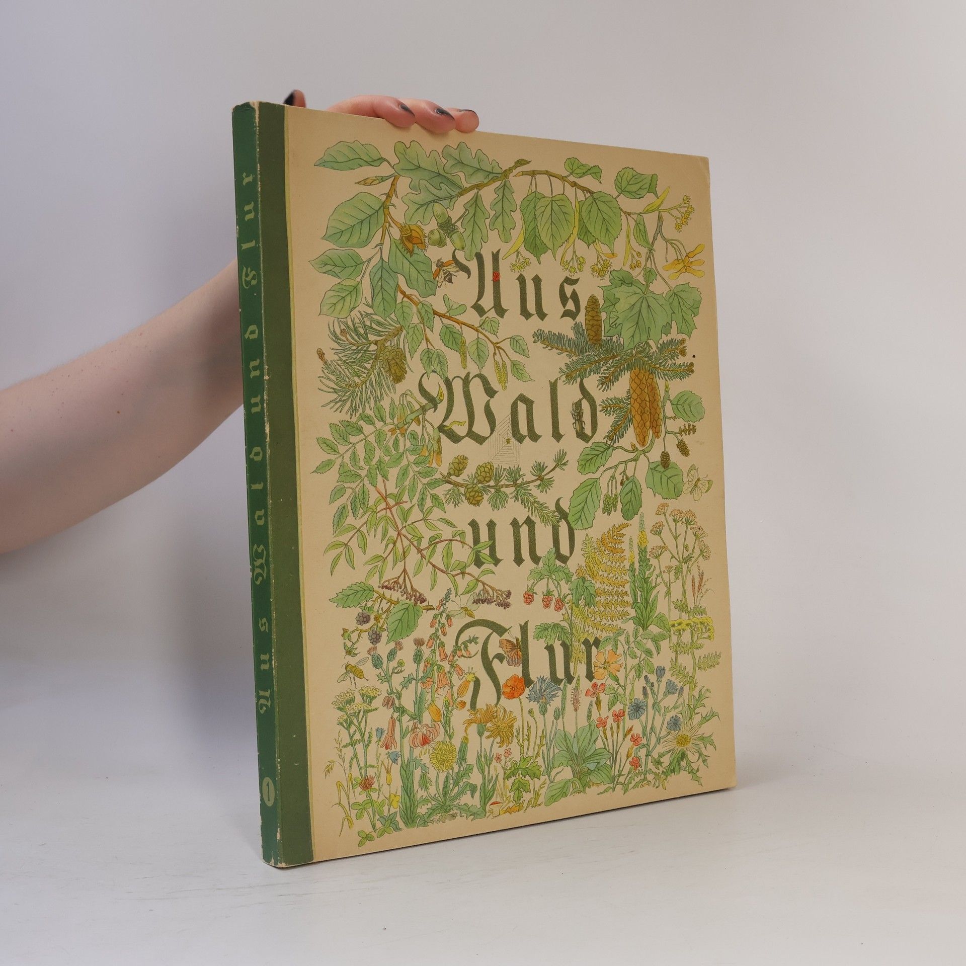 Walter Nöldner Aus Wald und Flur