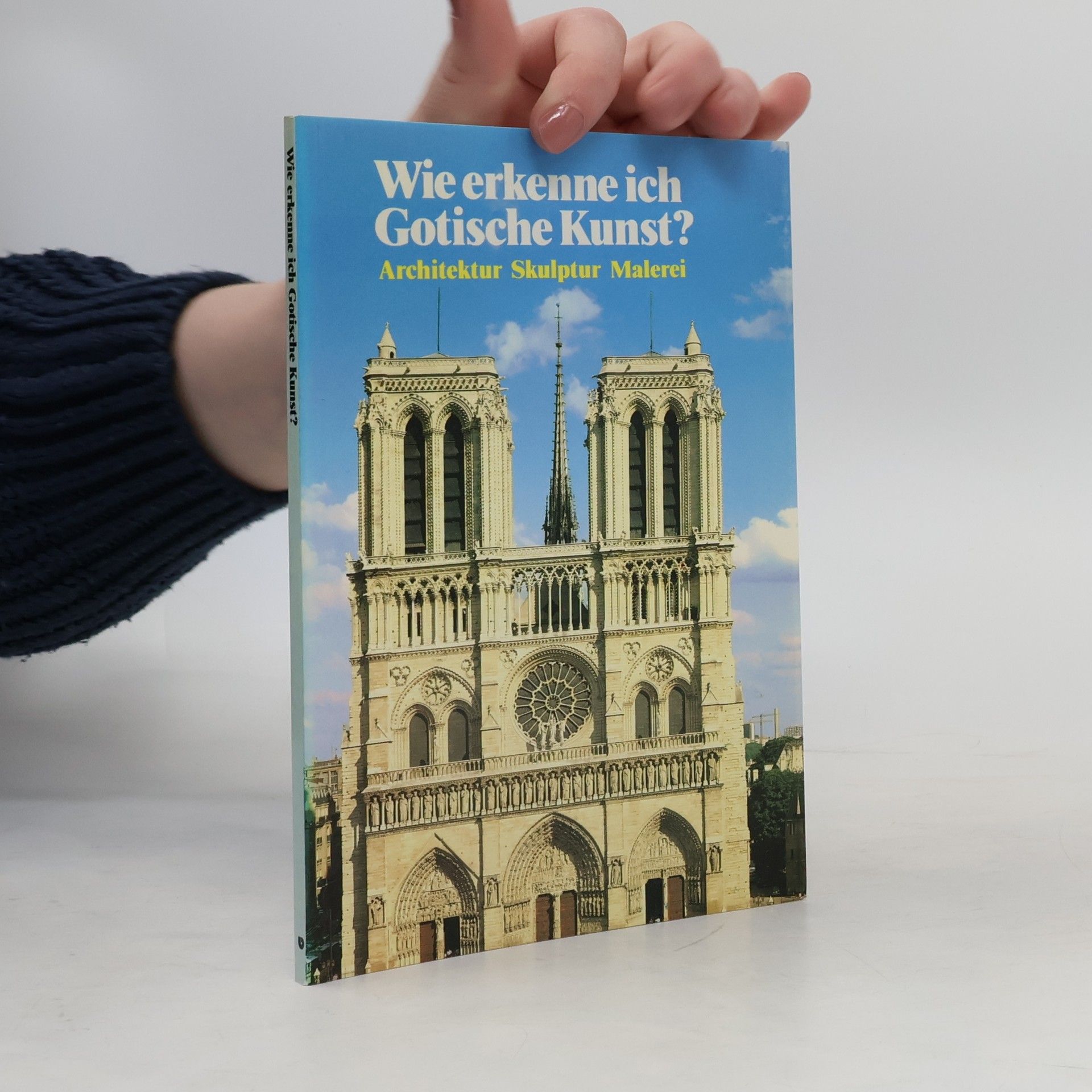 Maria Cristina Gozzoli Wie erkenne ich gotische Kunst?