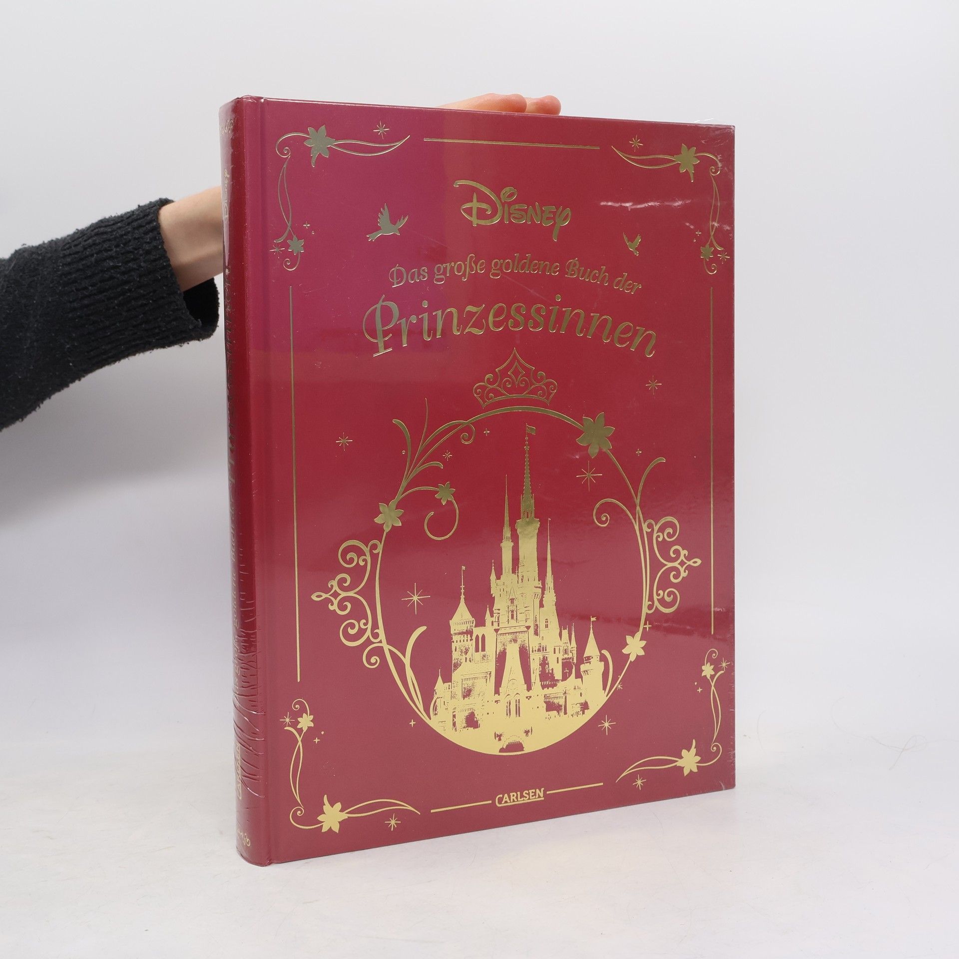 Kolektiv autorů Das große goldene Buch der Prinzessinnen