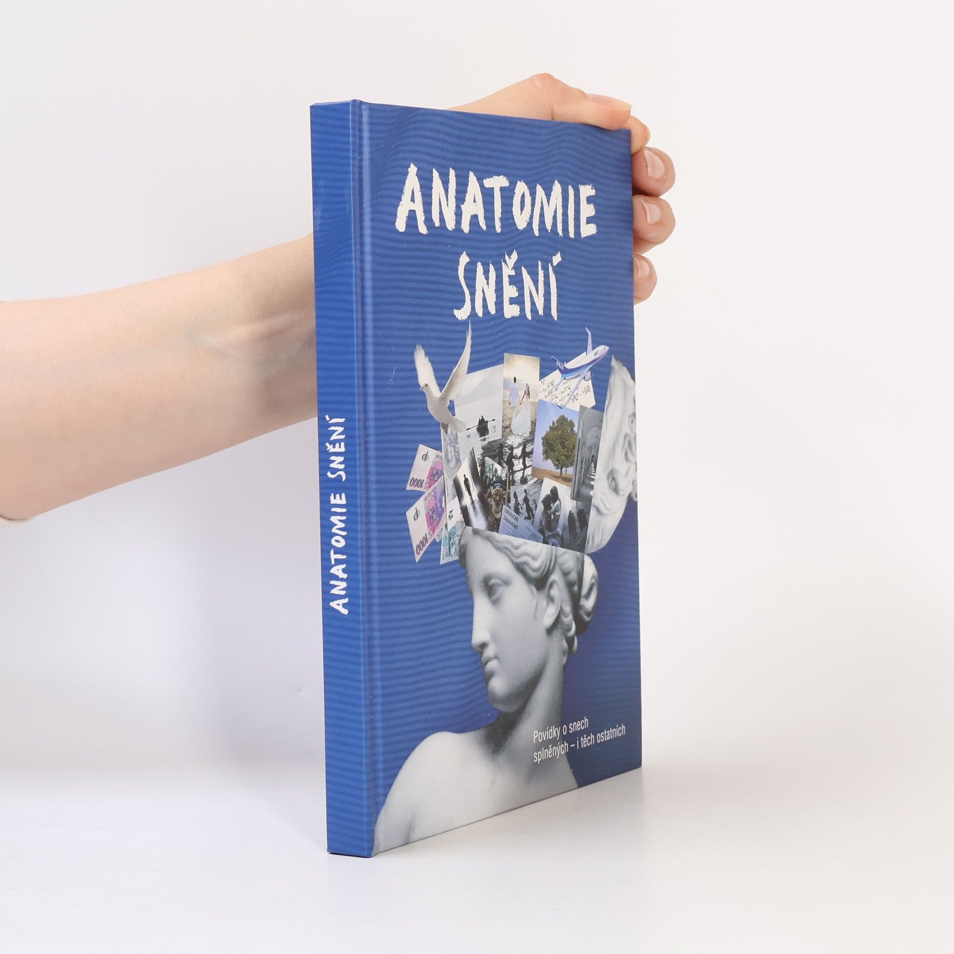 Auteurscollectief Anatomie snění