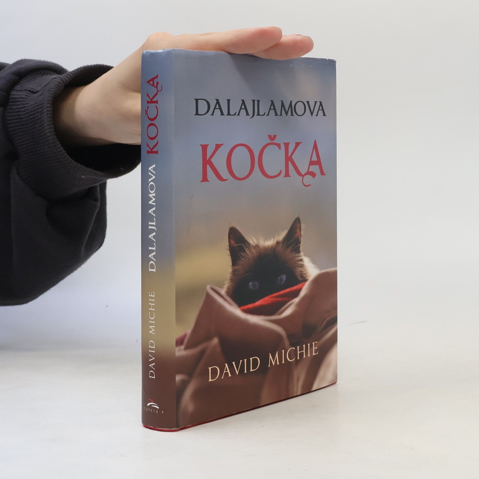 David Michie Dalajlamova kočka
