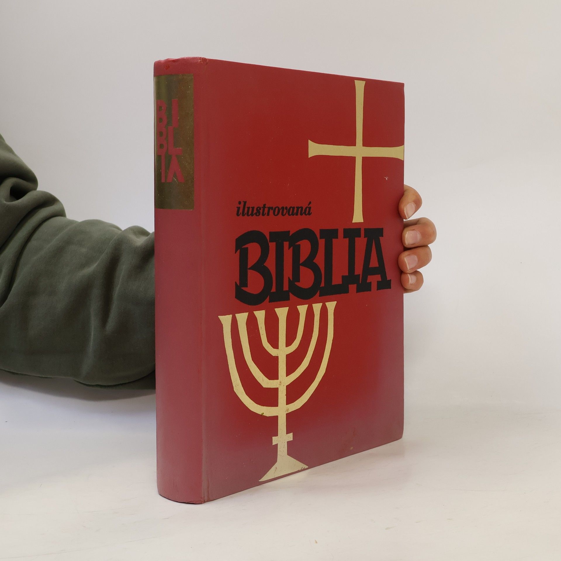 Various authors Ilustrovaná Biblia