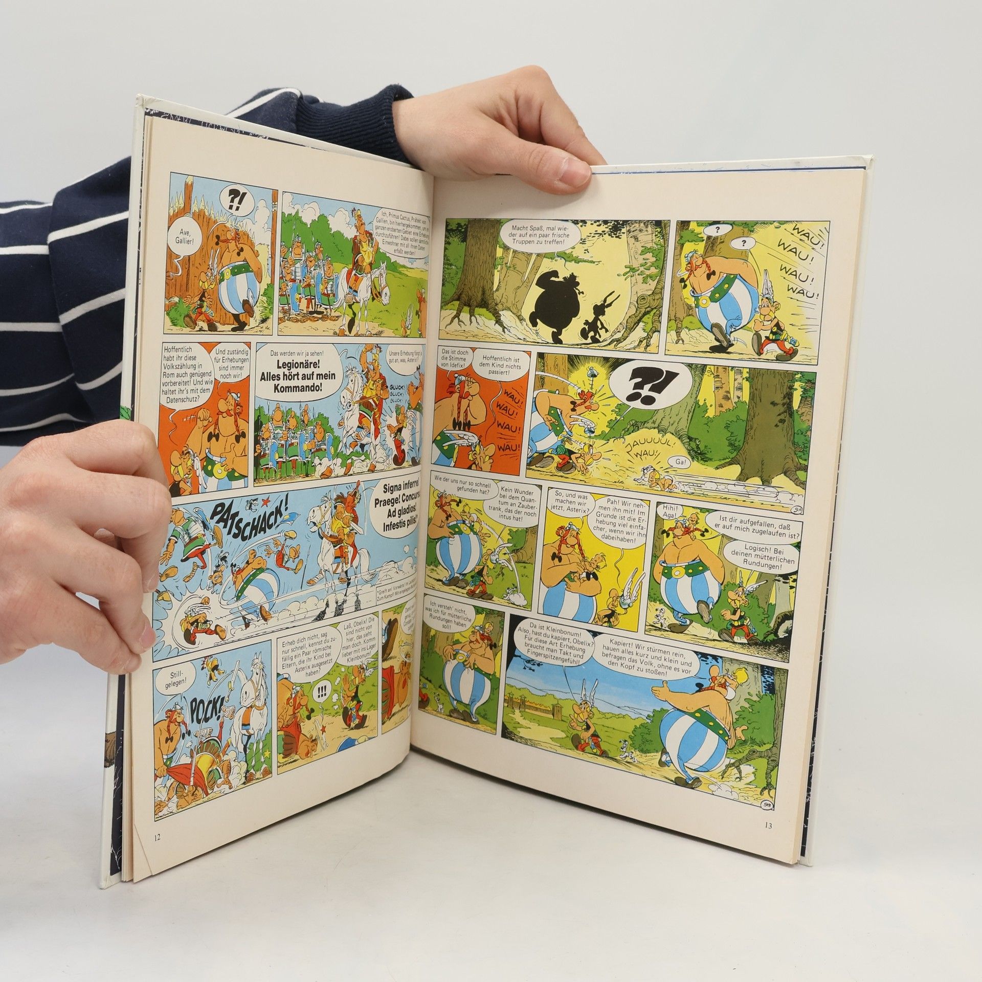 René Goscinny Der Sohn des Asterix