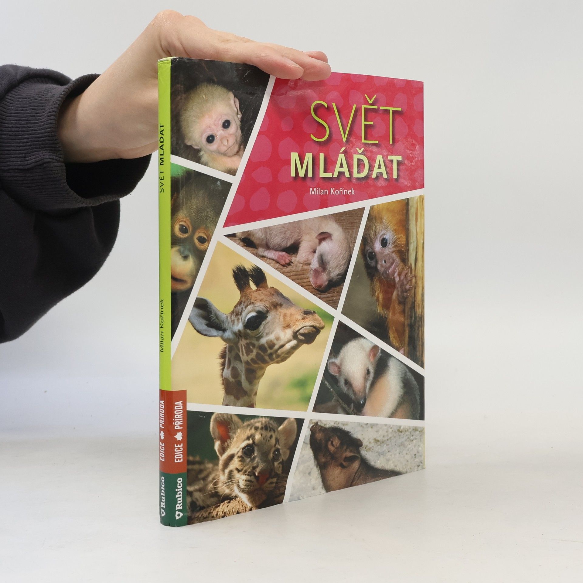 Milan Kořínek Svět mláďat