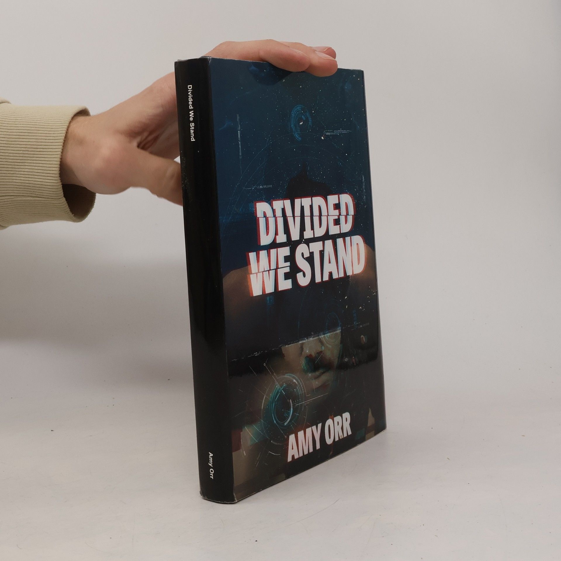 Amy Orr Divided We Stand