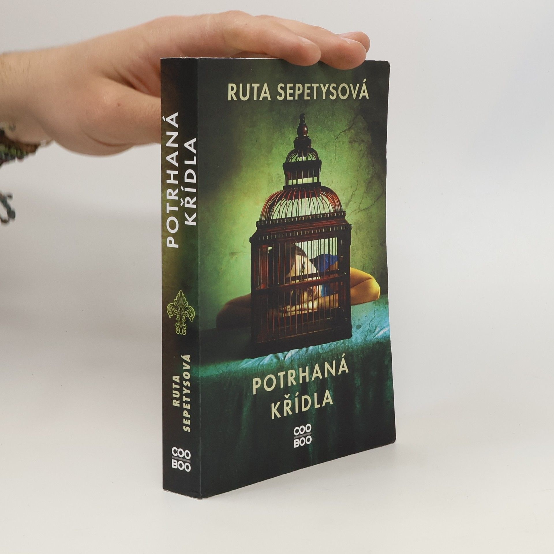 Ruta Sepetys Potrhaná křídla