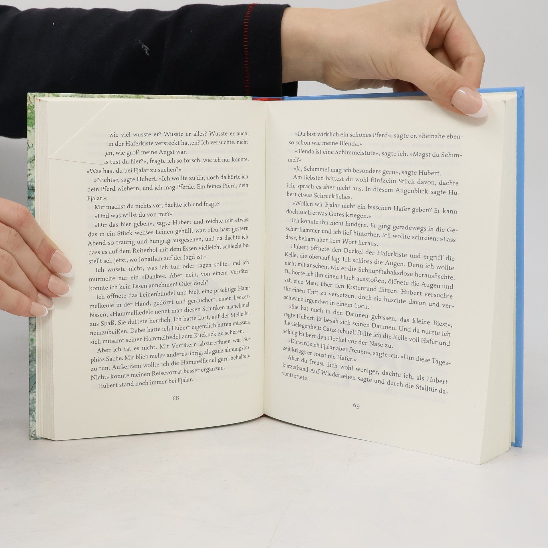 Astrid Lindgren Die Brüder Löwenherz