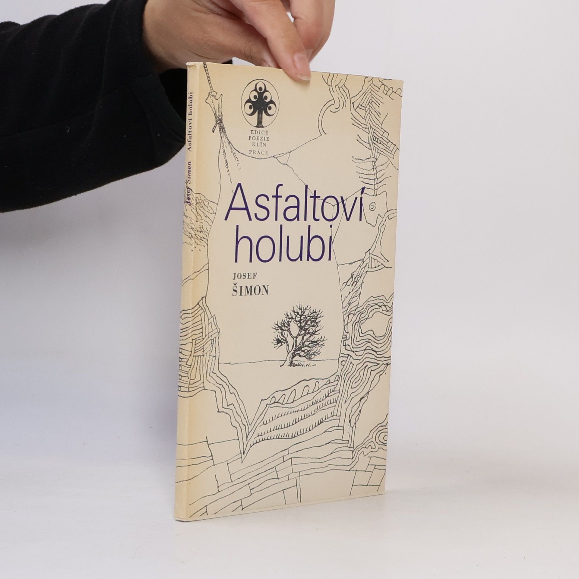 Josef Šimon Asfaltoví holubi